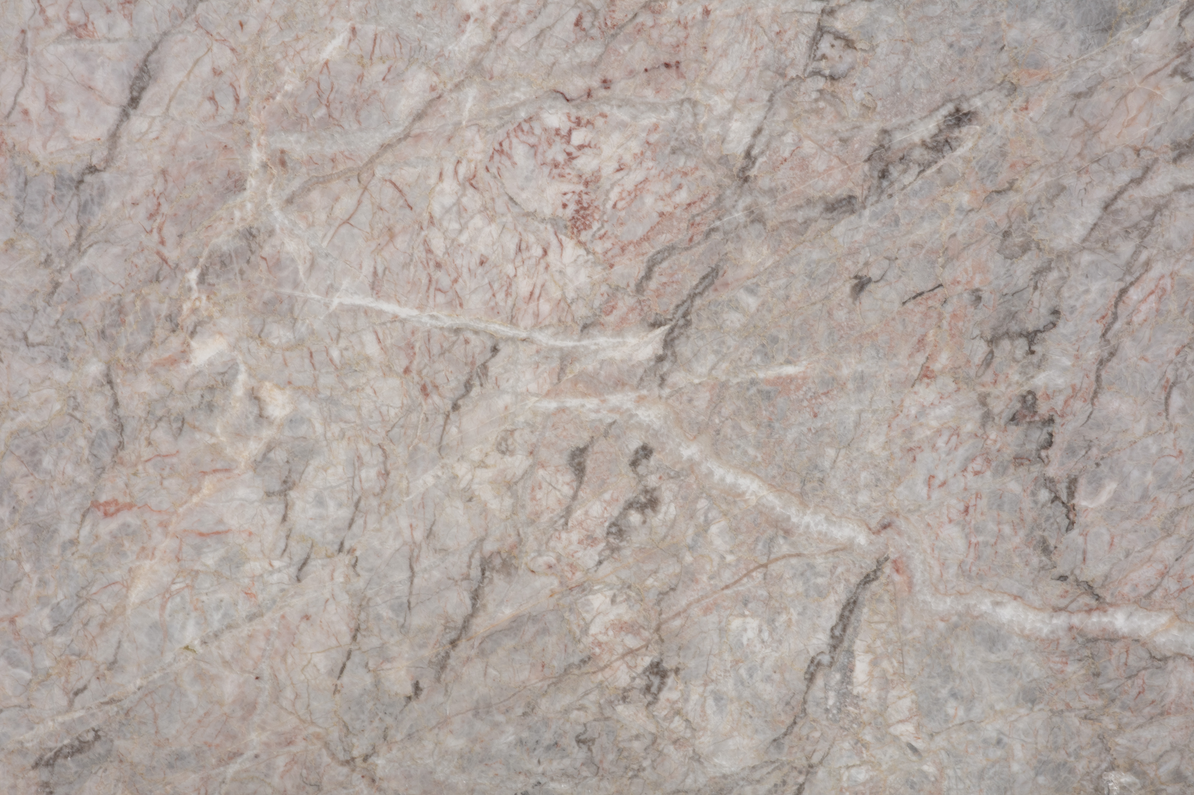 FIOR DI PESCO - фото 5 FIOR DI PESCO - фото 5