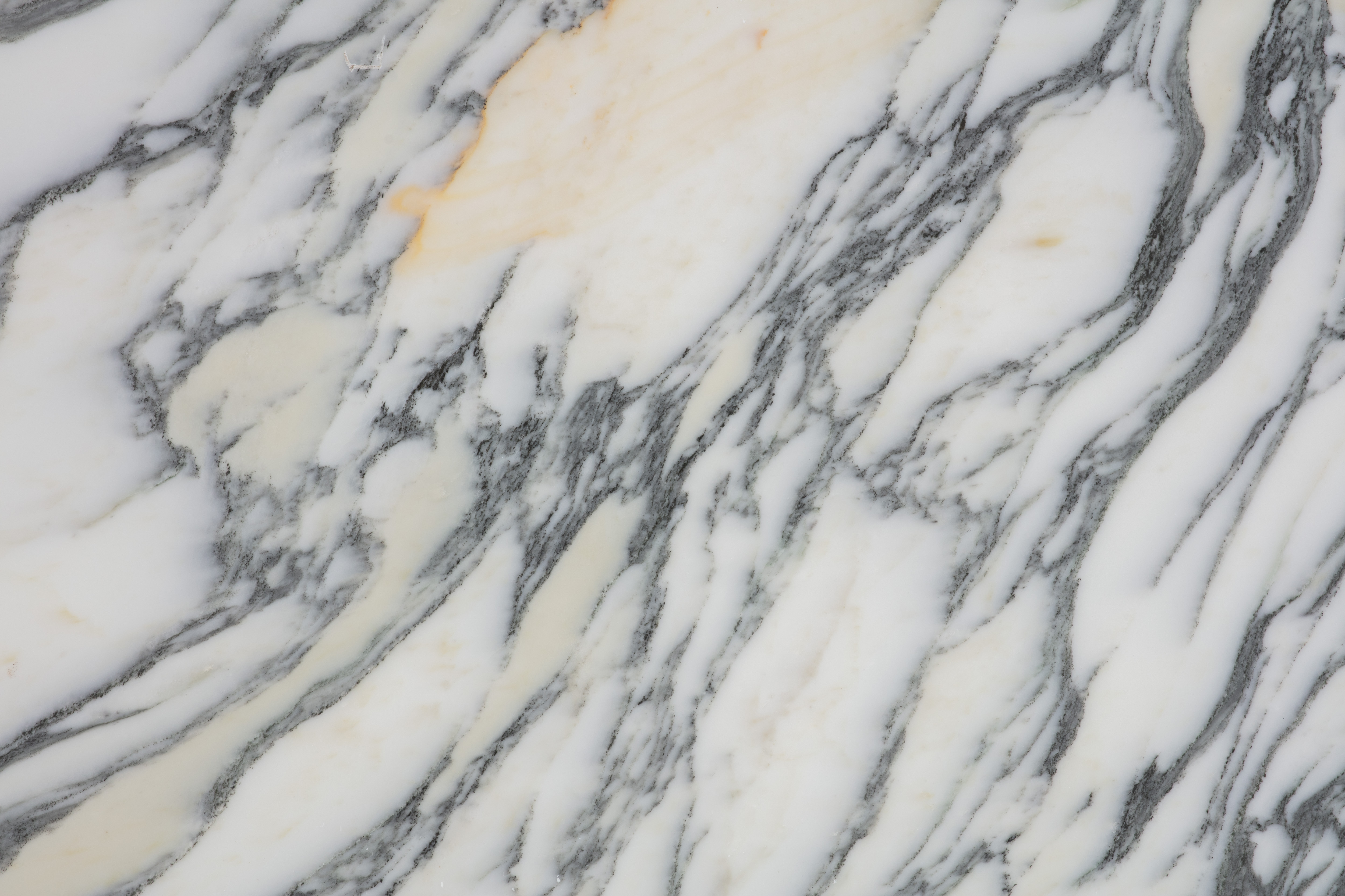 CALACATTA VIOLA - фото 4