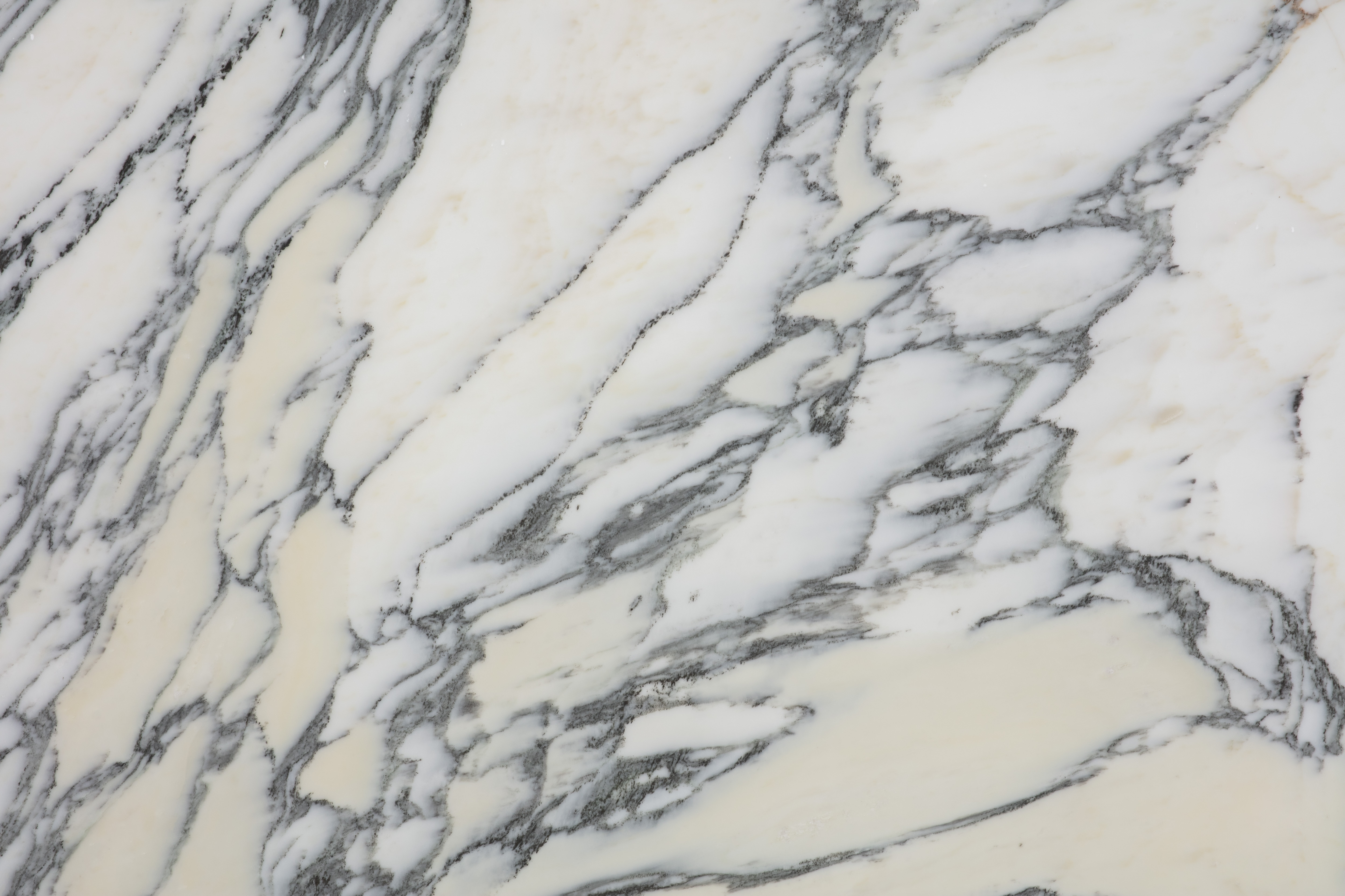 CALACATTA VIOLA - фото 5