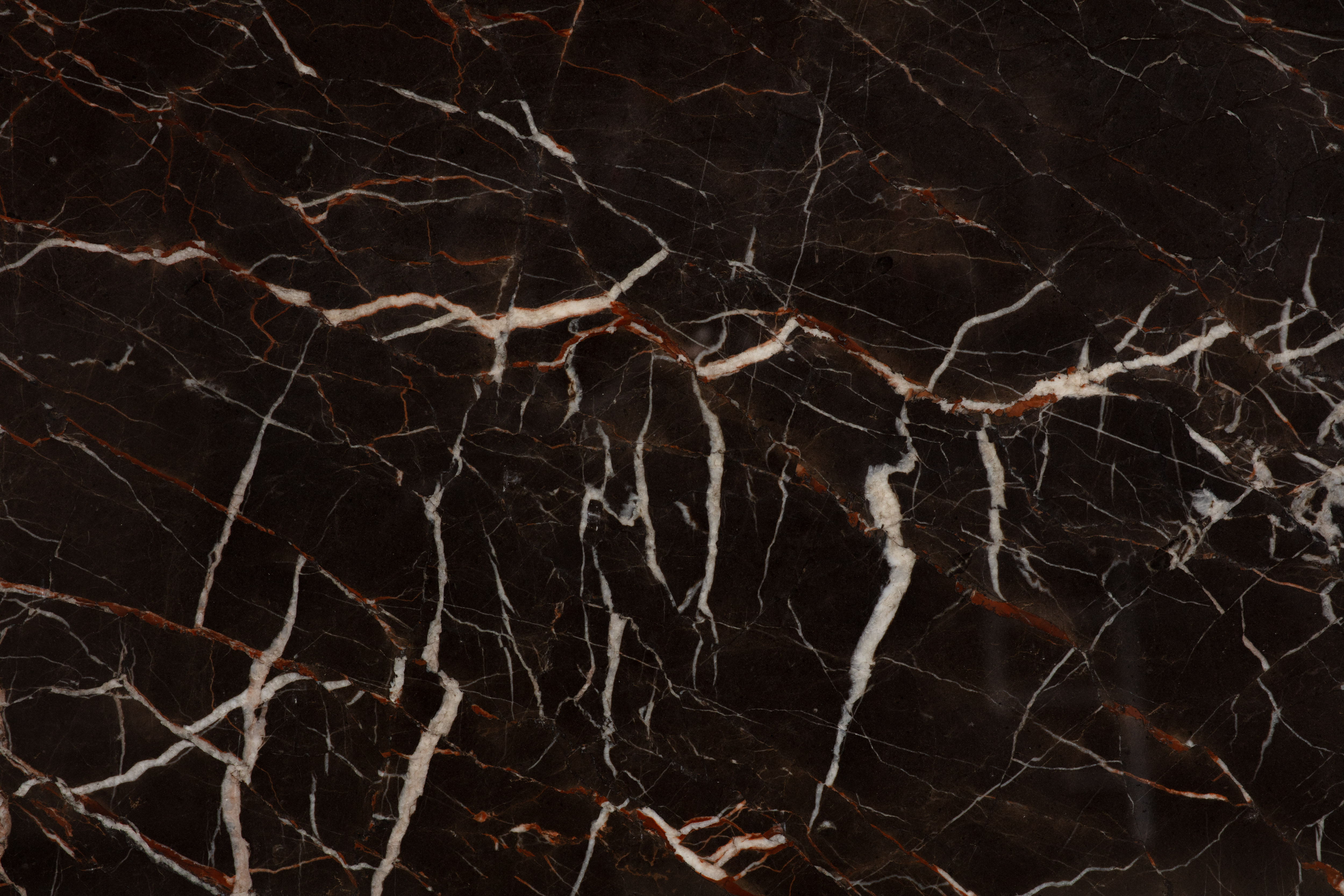 SAINT LAURENT BROWN - фото 2 SAINT LAURENT BROWN - фото 2