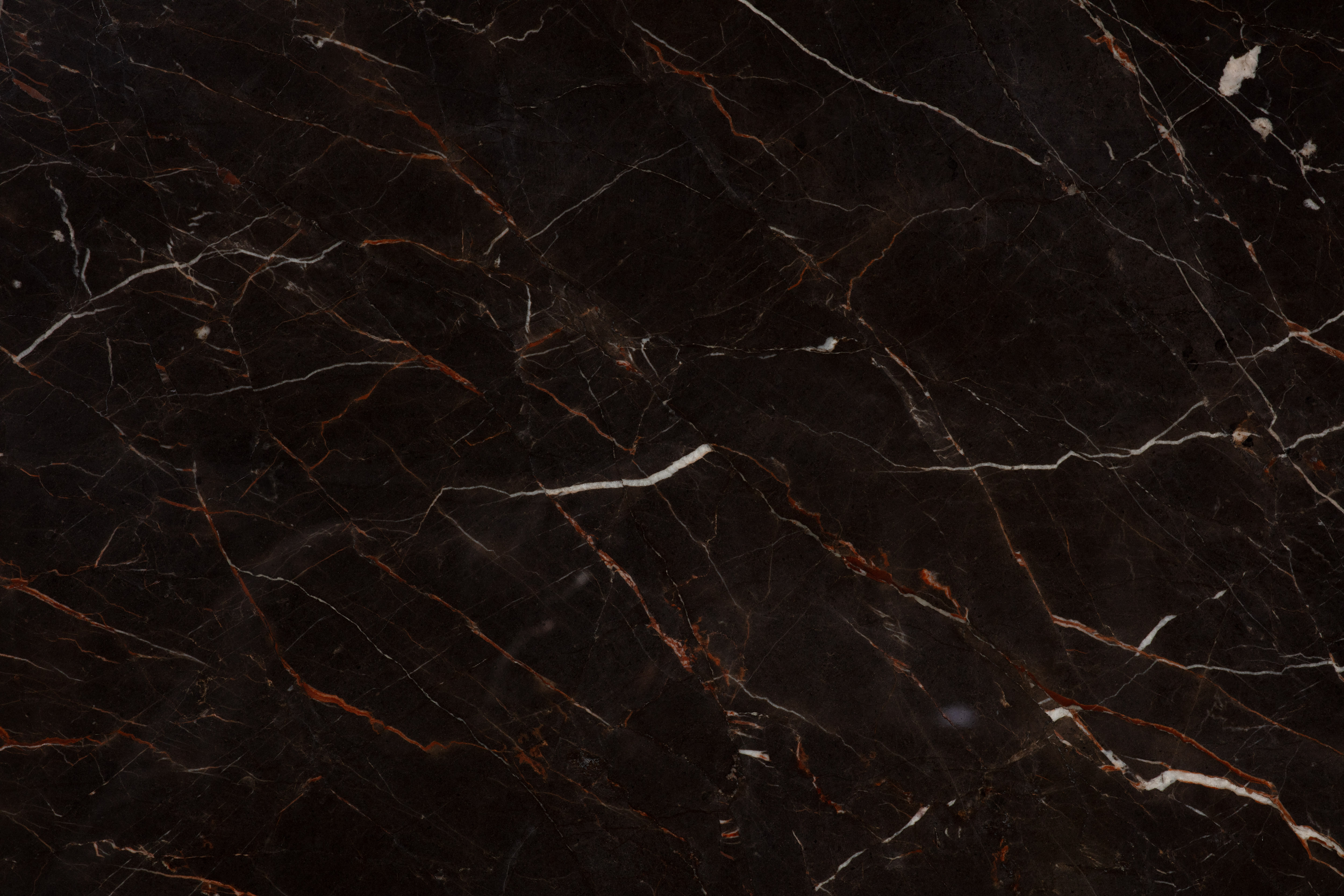 SAINT LAURENT BROWN - фото 3 SAINT LAURENT BROWN - фото 3