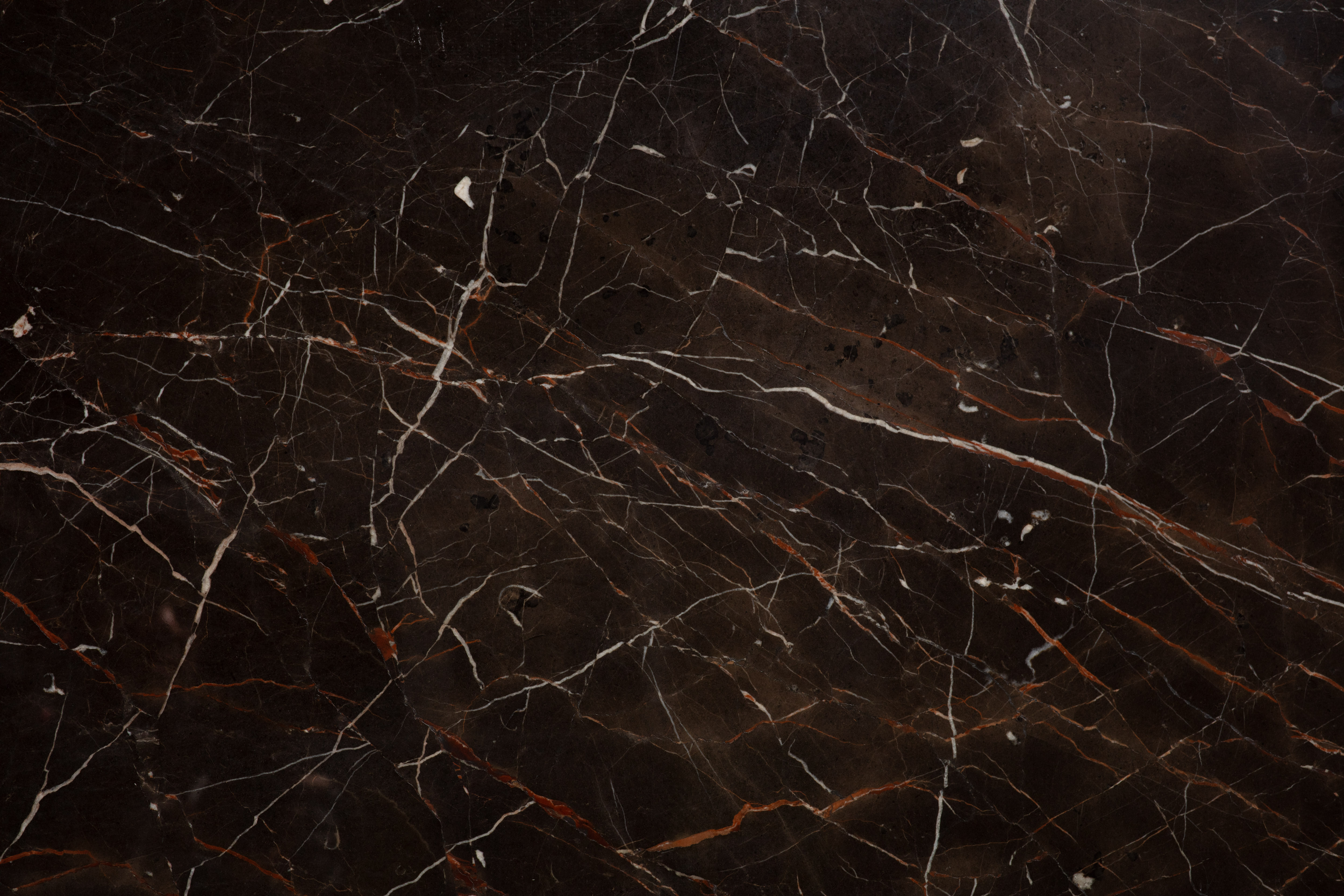 SAINT LAURENT BROWN - фото 5 SAINT LAURENT BROWN - фото 5