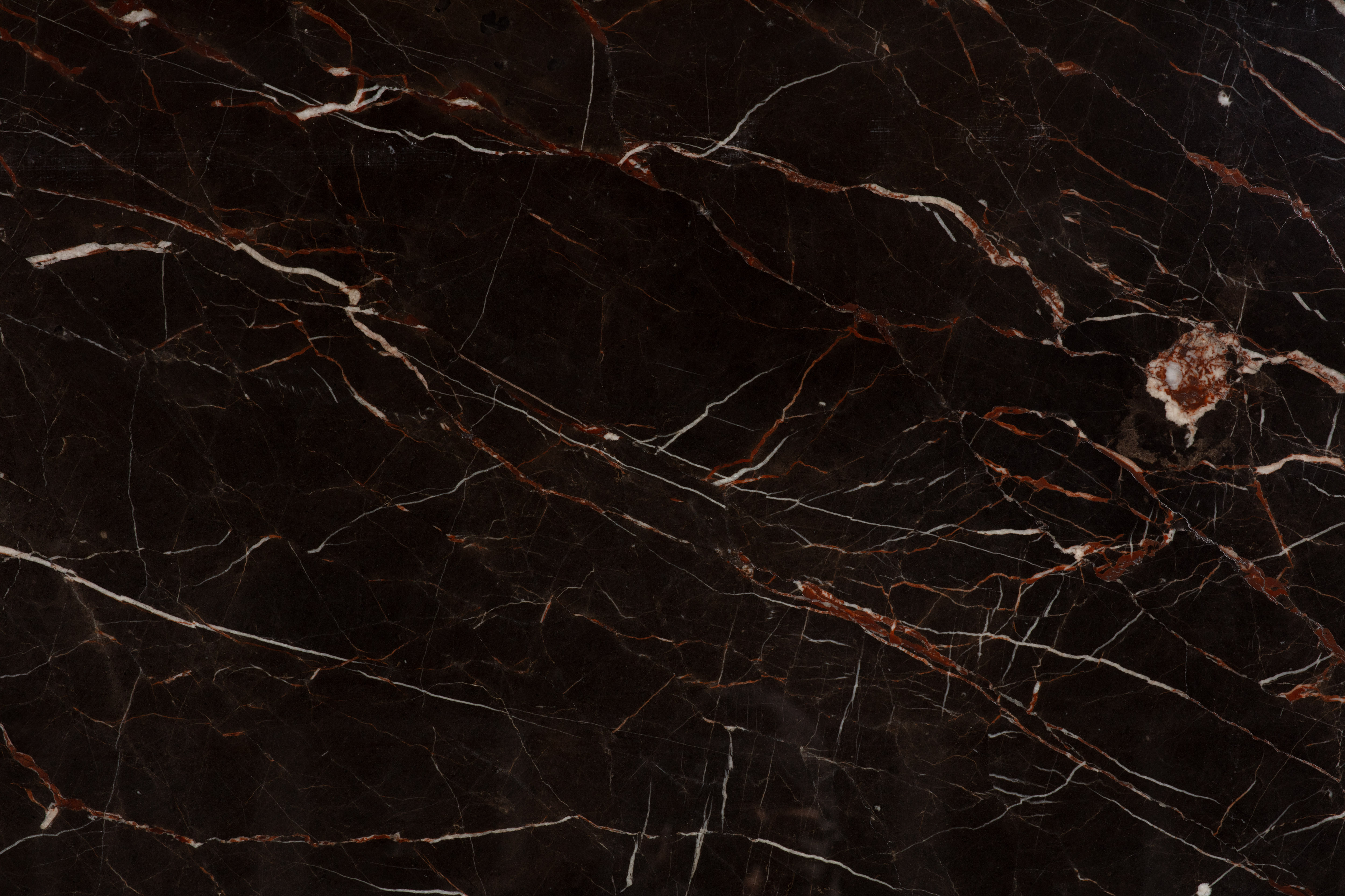 SAINT LAURENT BROWN - фото 6 SAINT LAURENT BROWN - фото 6