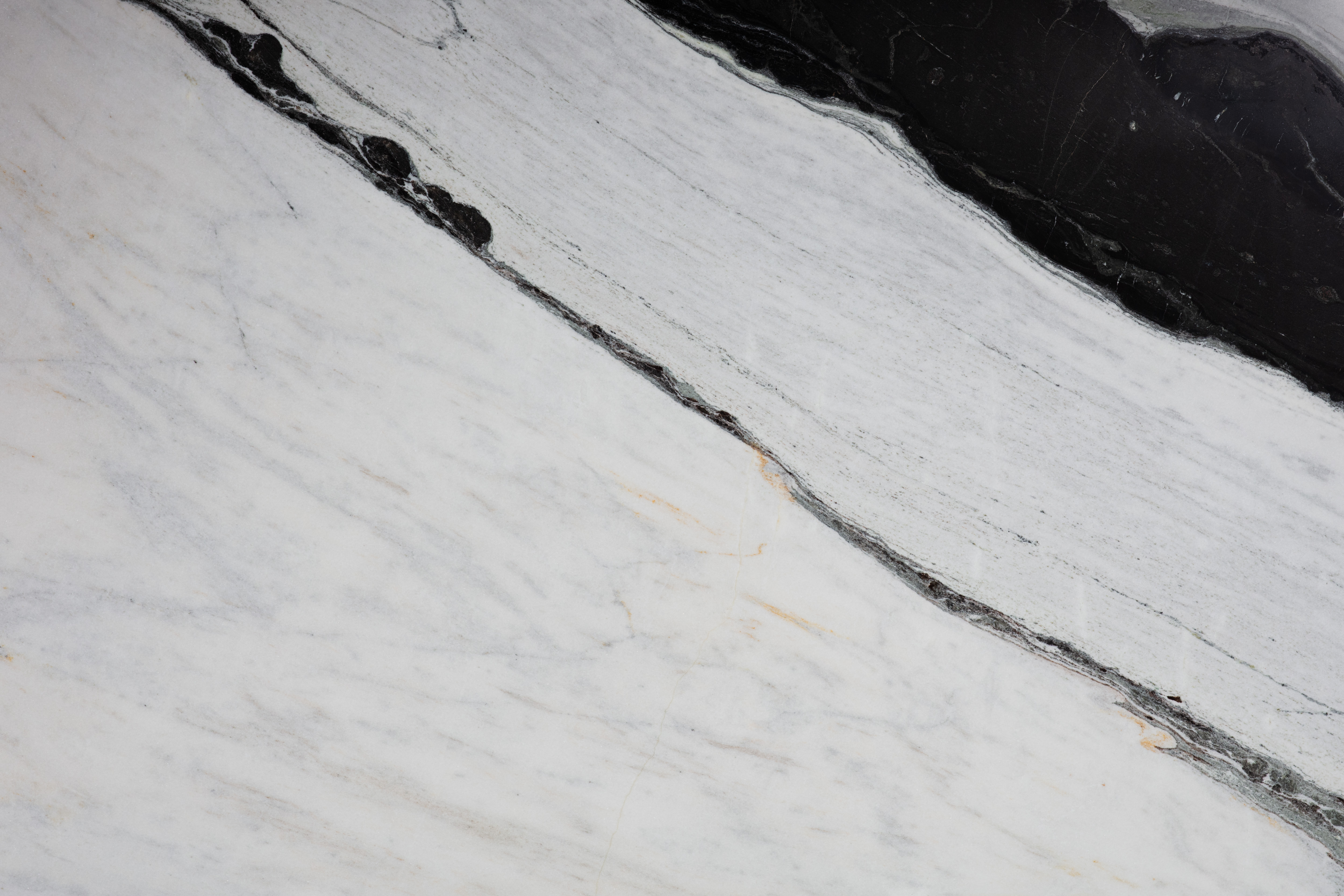 PANDA WHITE PANDA WHITE