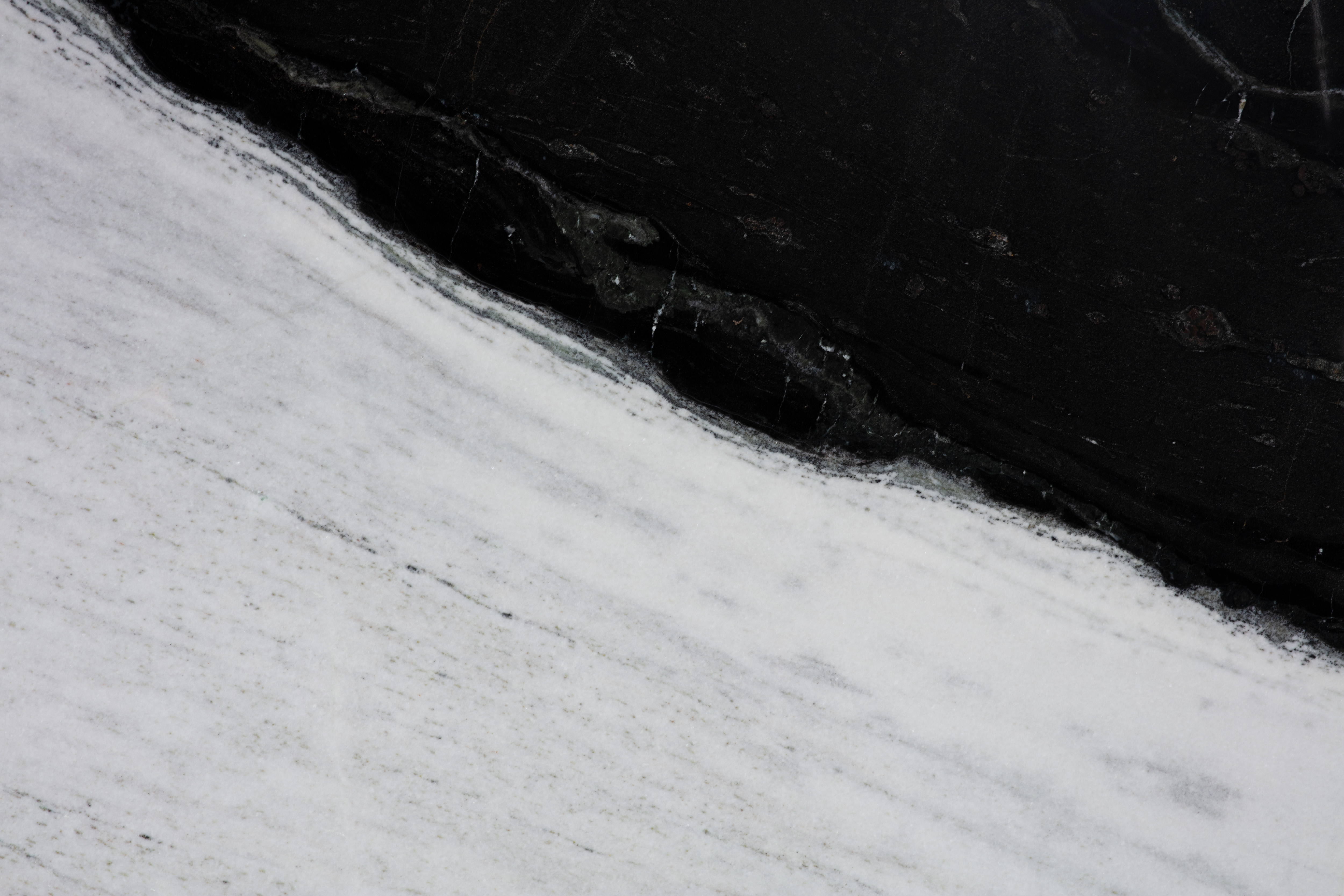 PANDA WHITE - фото 3 PANDA WHITE - фото 3