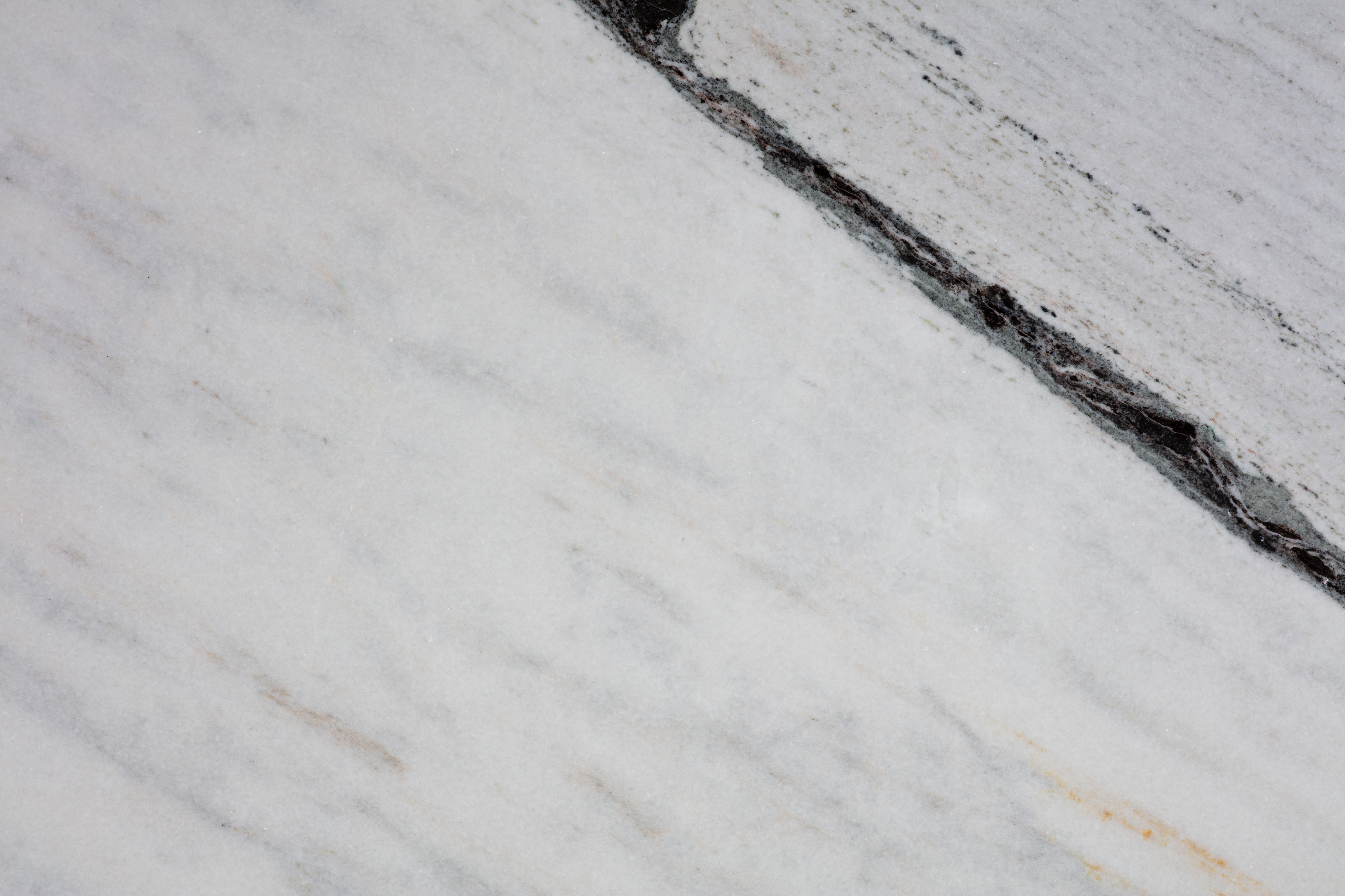 PANDA WHITE - фото 5 PANDA WHITE - фото 5