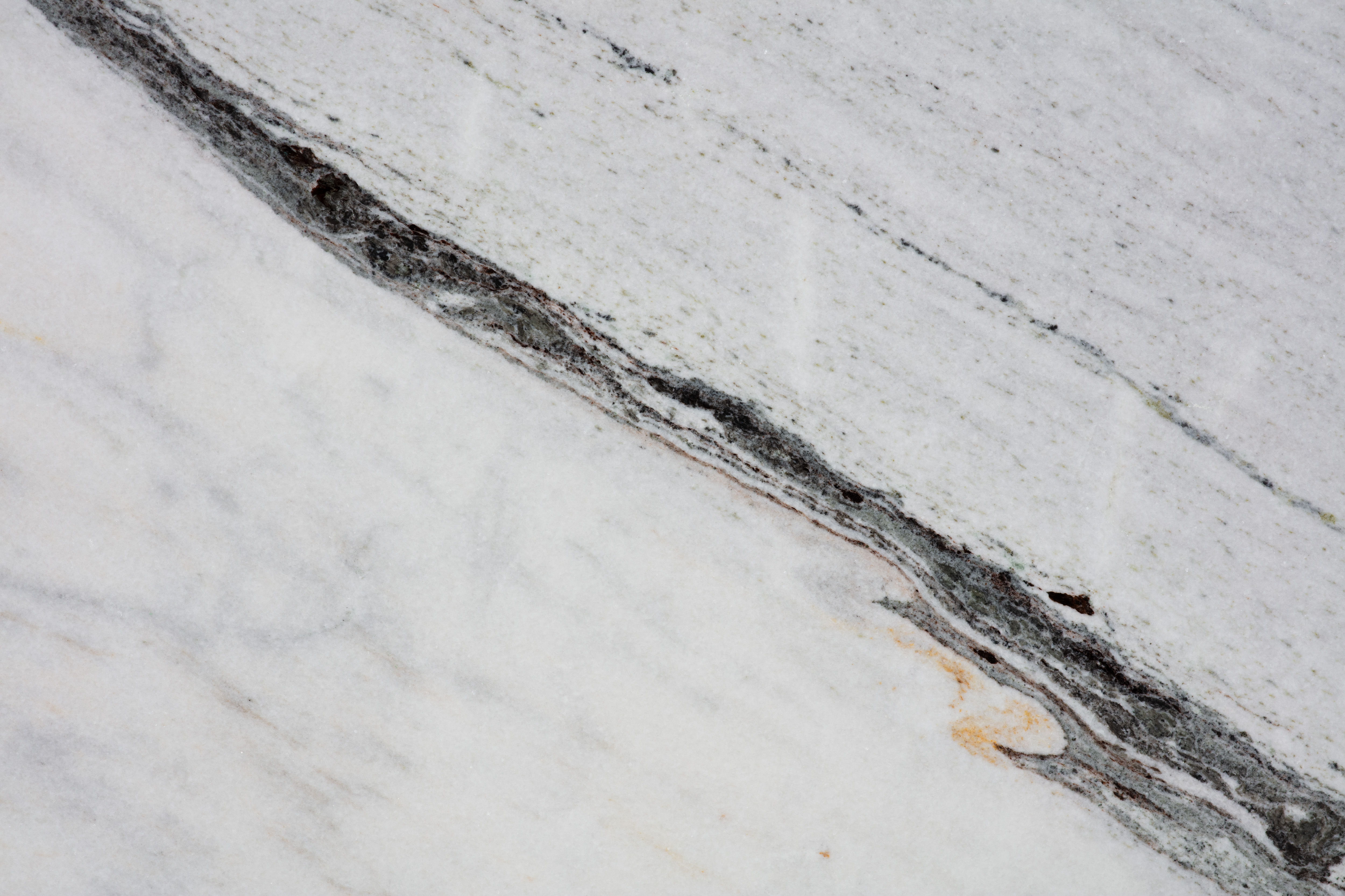 PANDA WHITE - фото 6 PANDA WHITE - фото 6