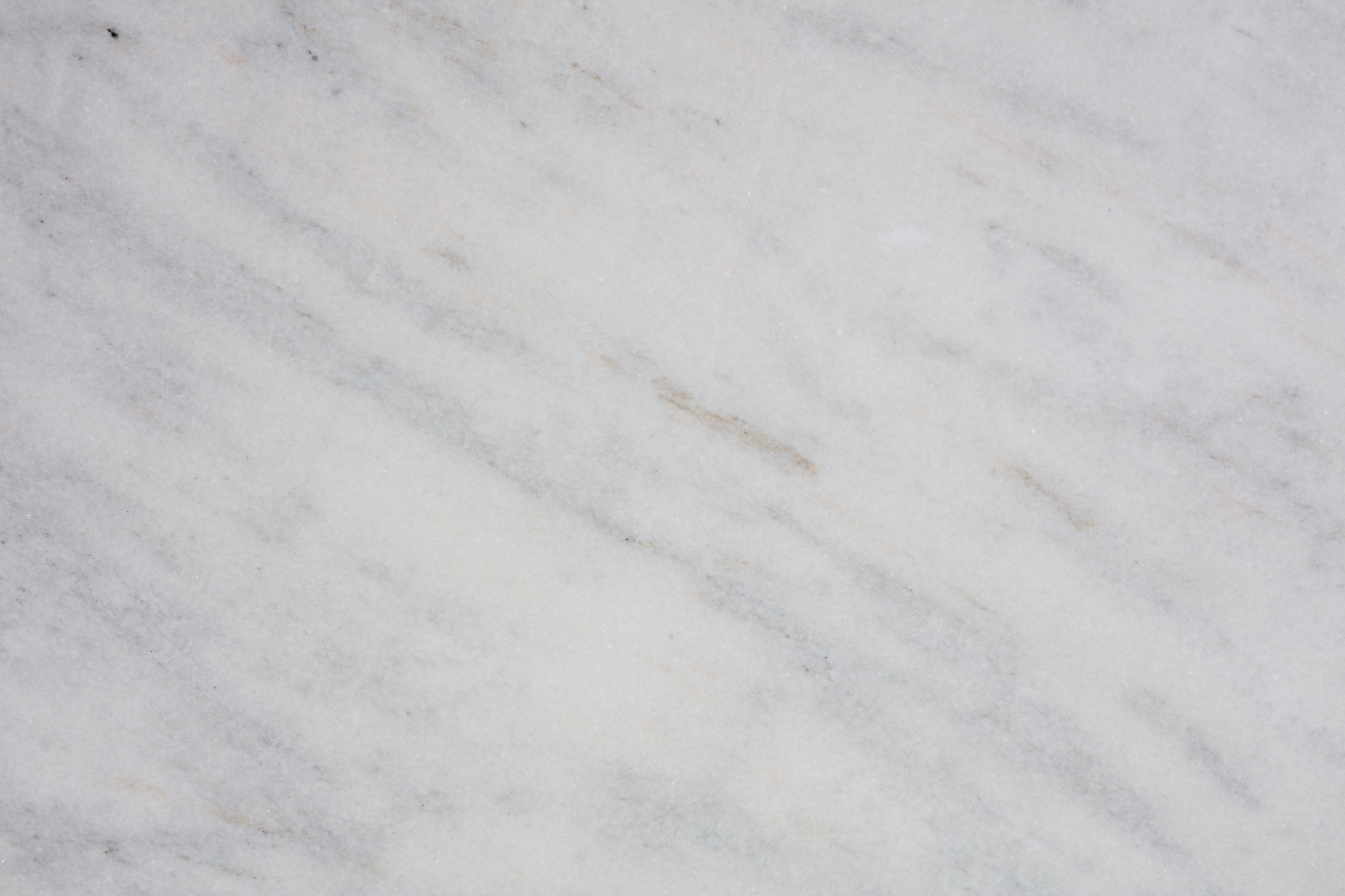 PANDA WHITE - фото 8 PANDA WHITE - фото 8