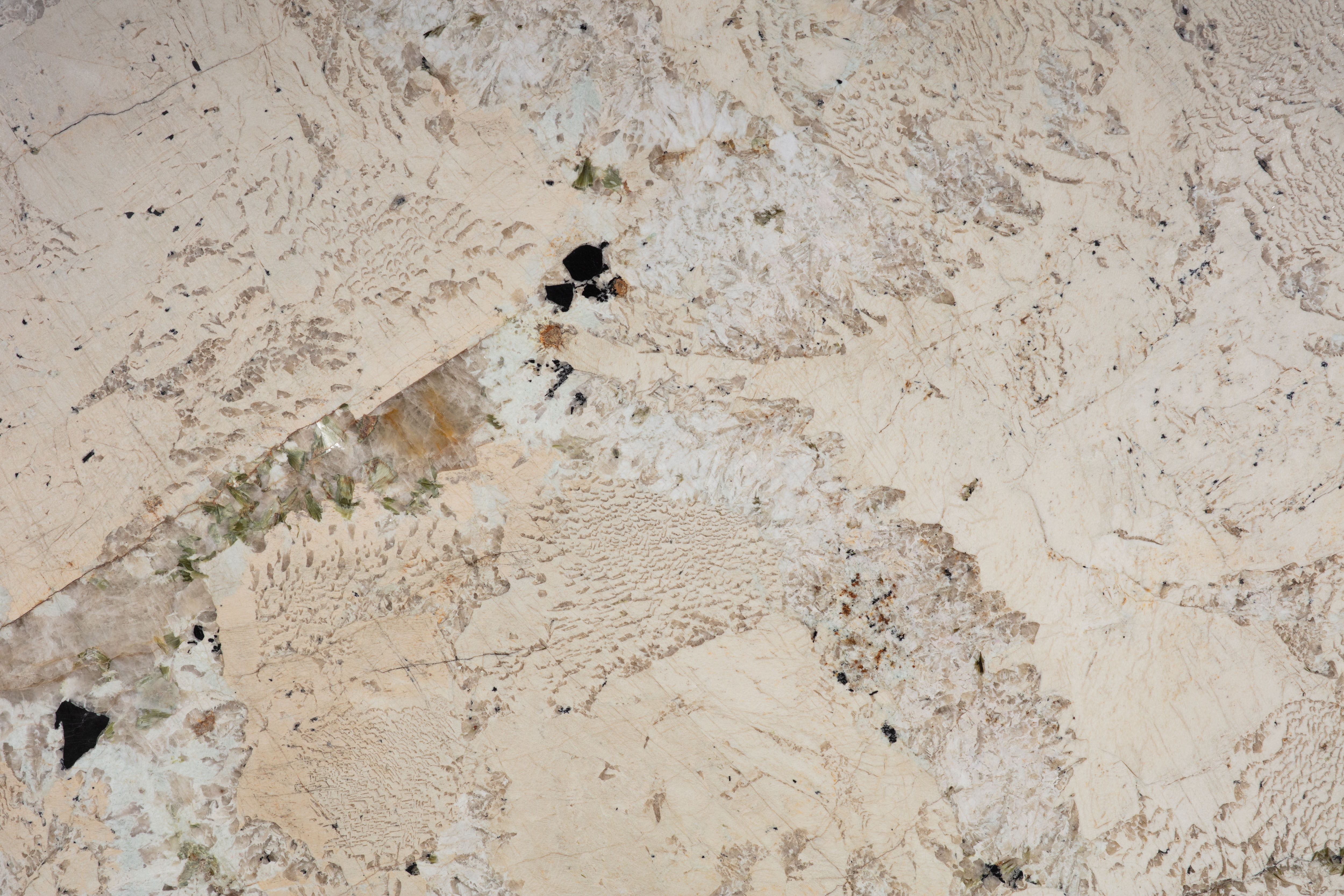 ALPINUS  - фото 2
