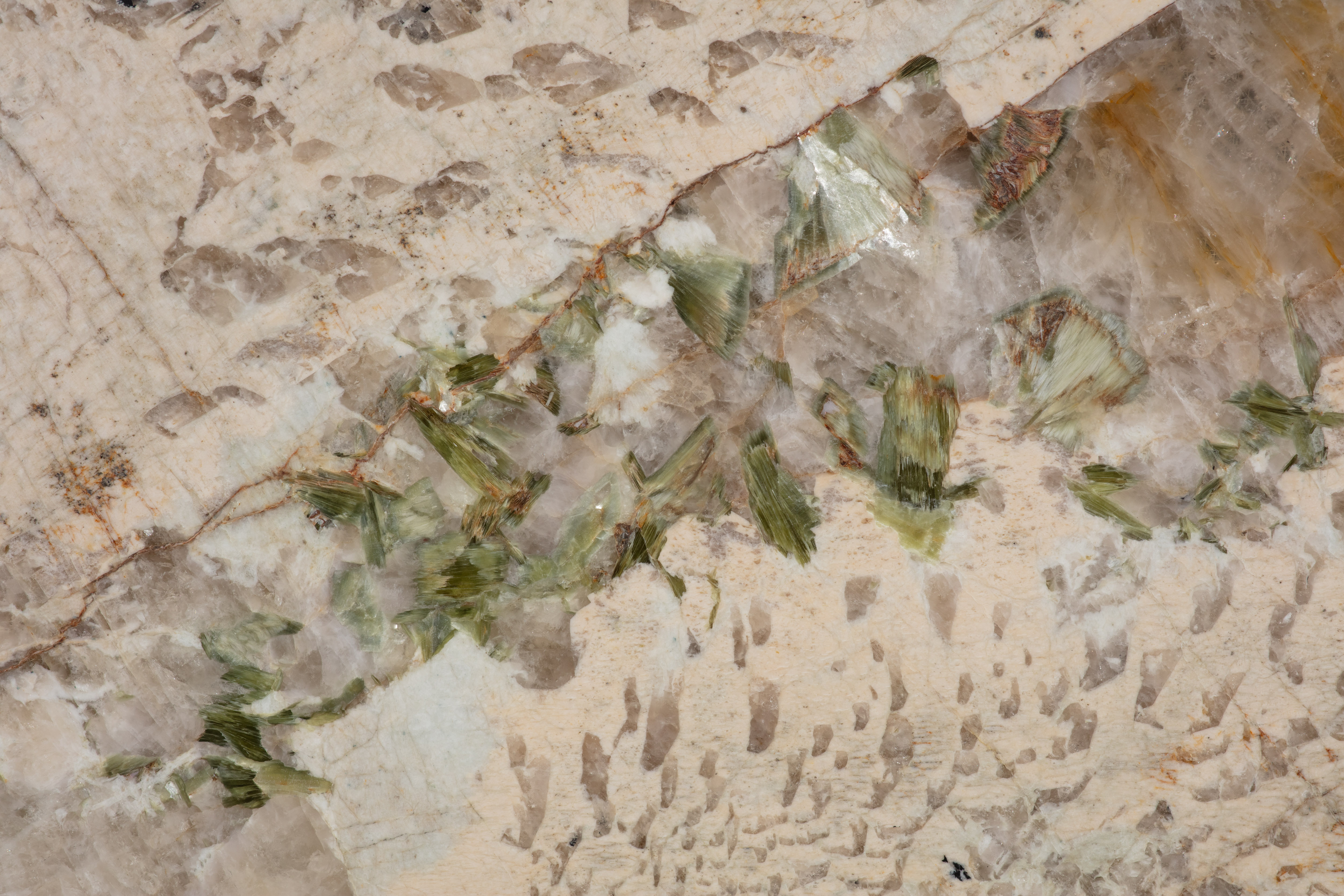 ALPINUS  - фото 4