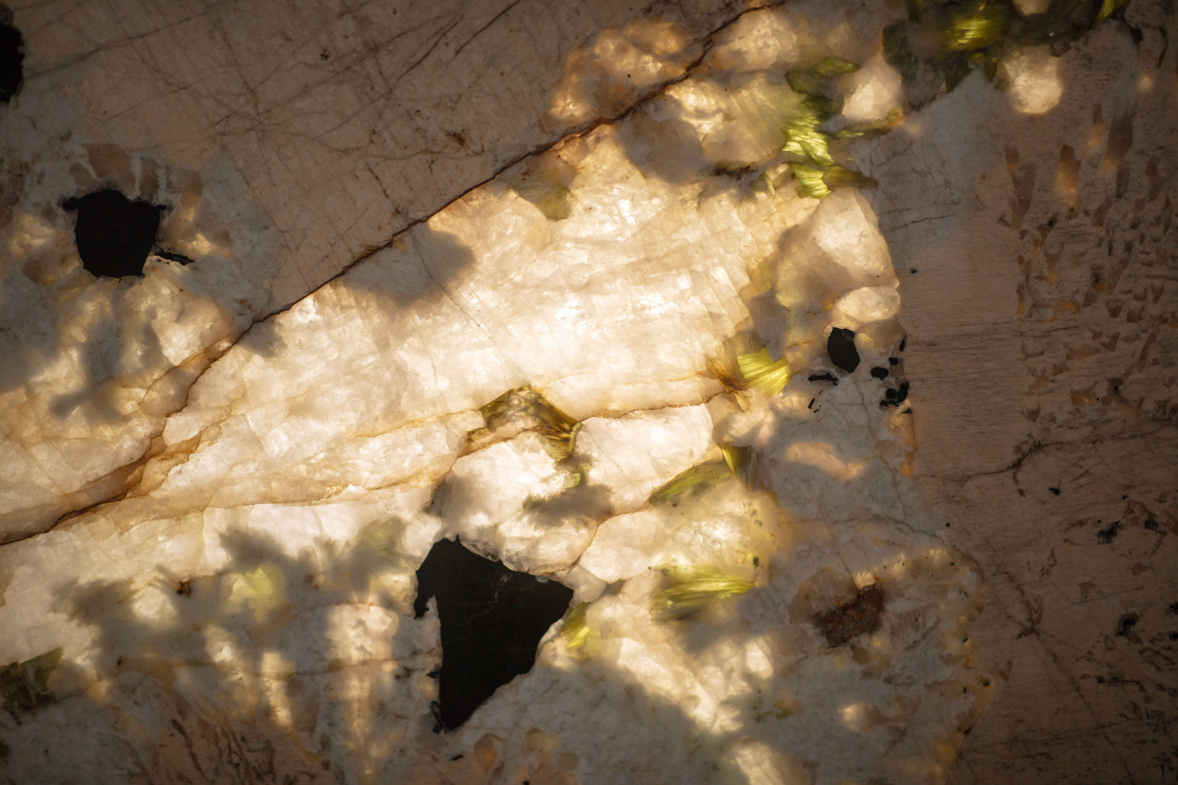 ALPINUS  - фото 10