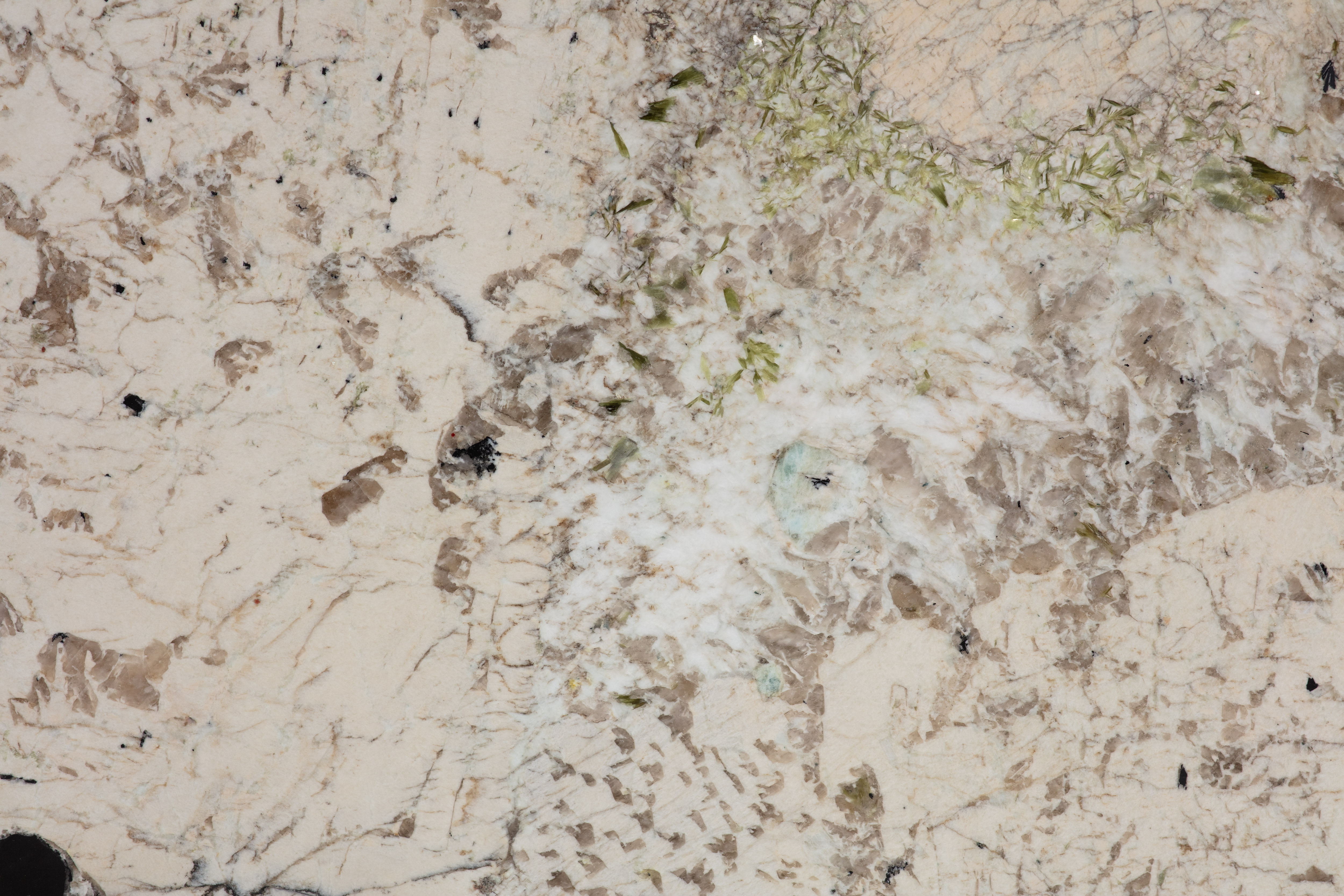 ALPINUS  - фото 2