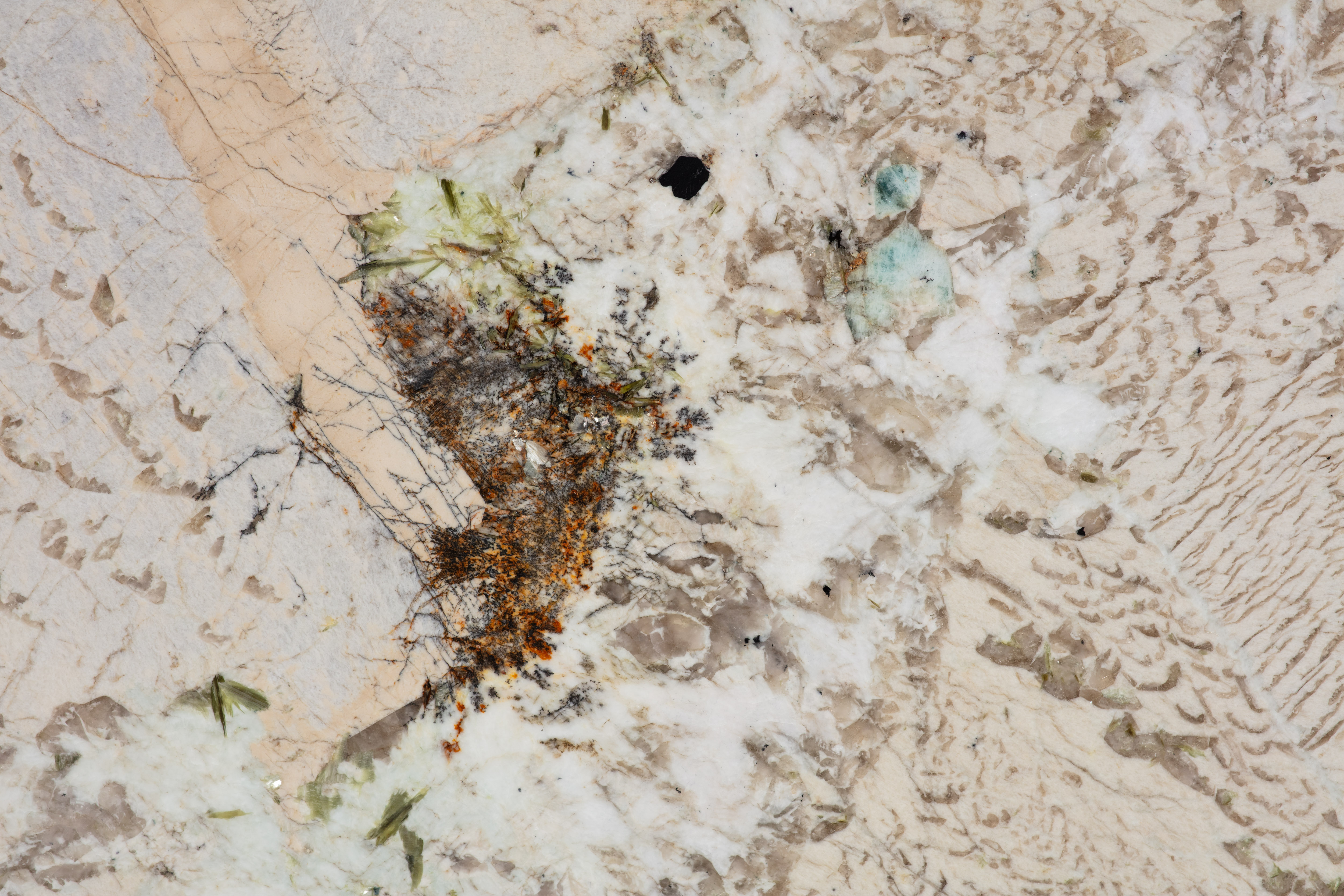ALPINUS  - фото 6