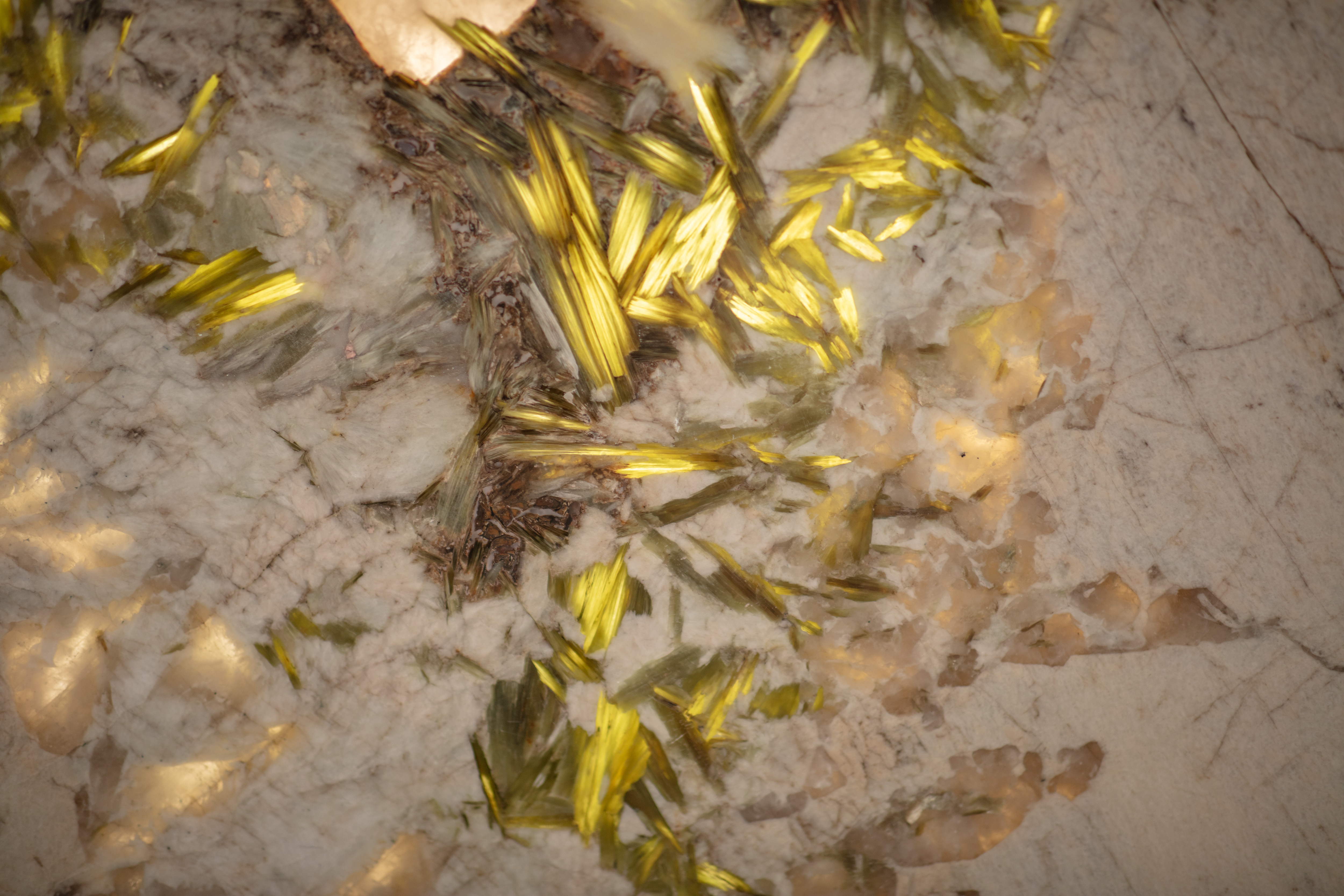 ALPINUS  - фото 16