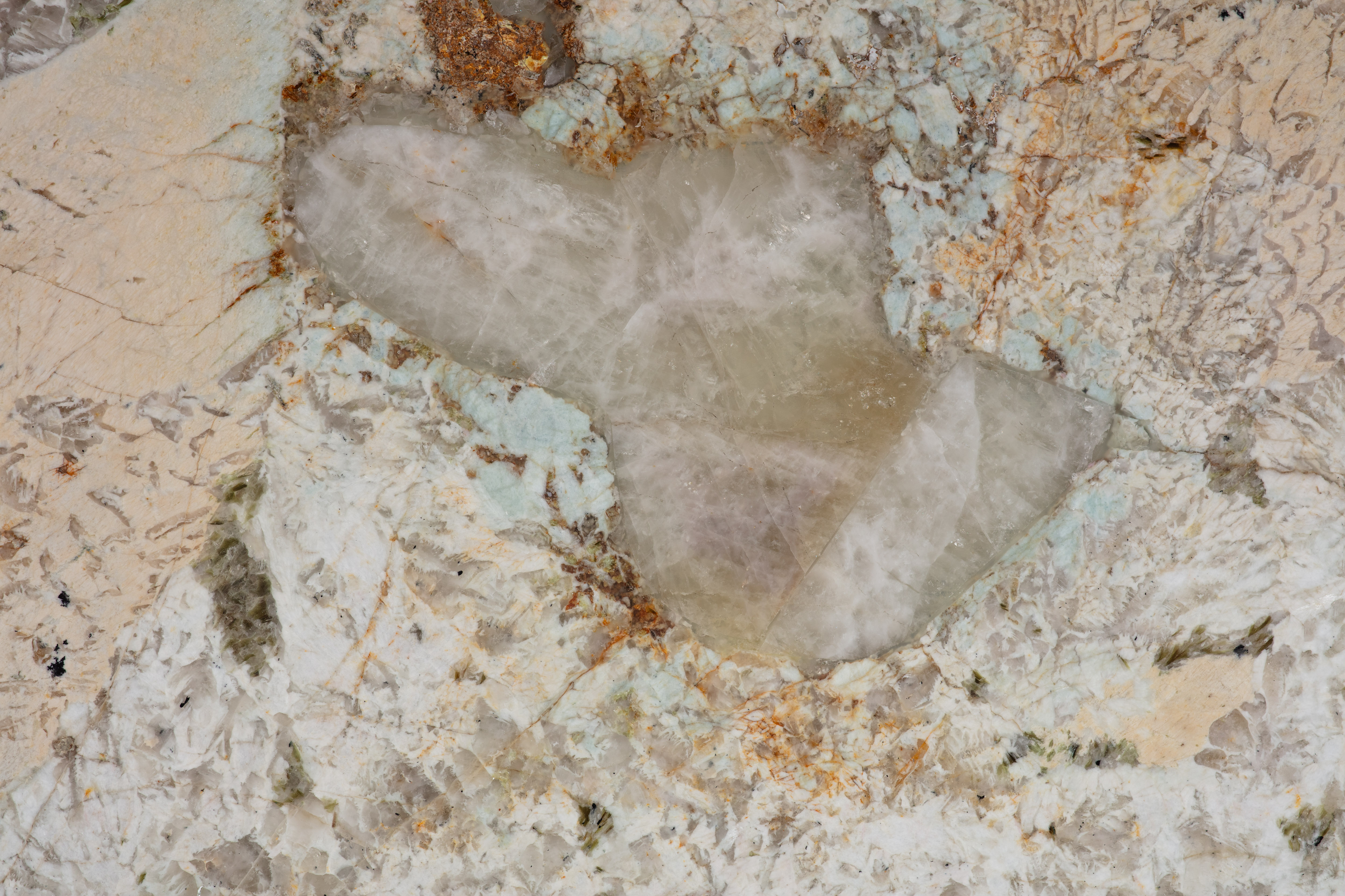 ALPINUS  - фото 4