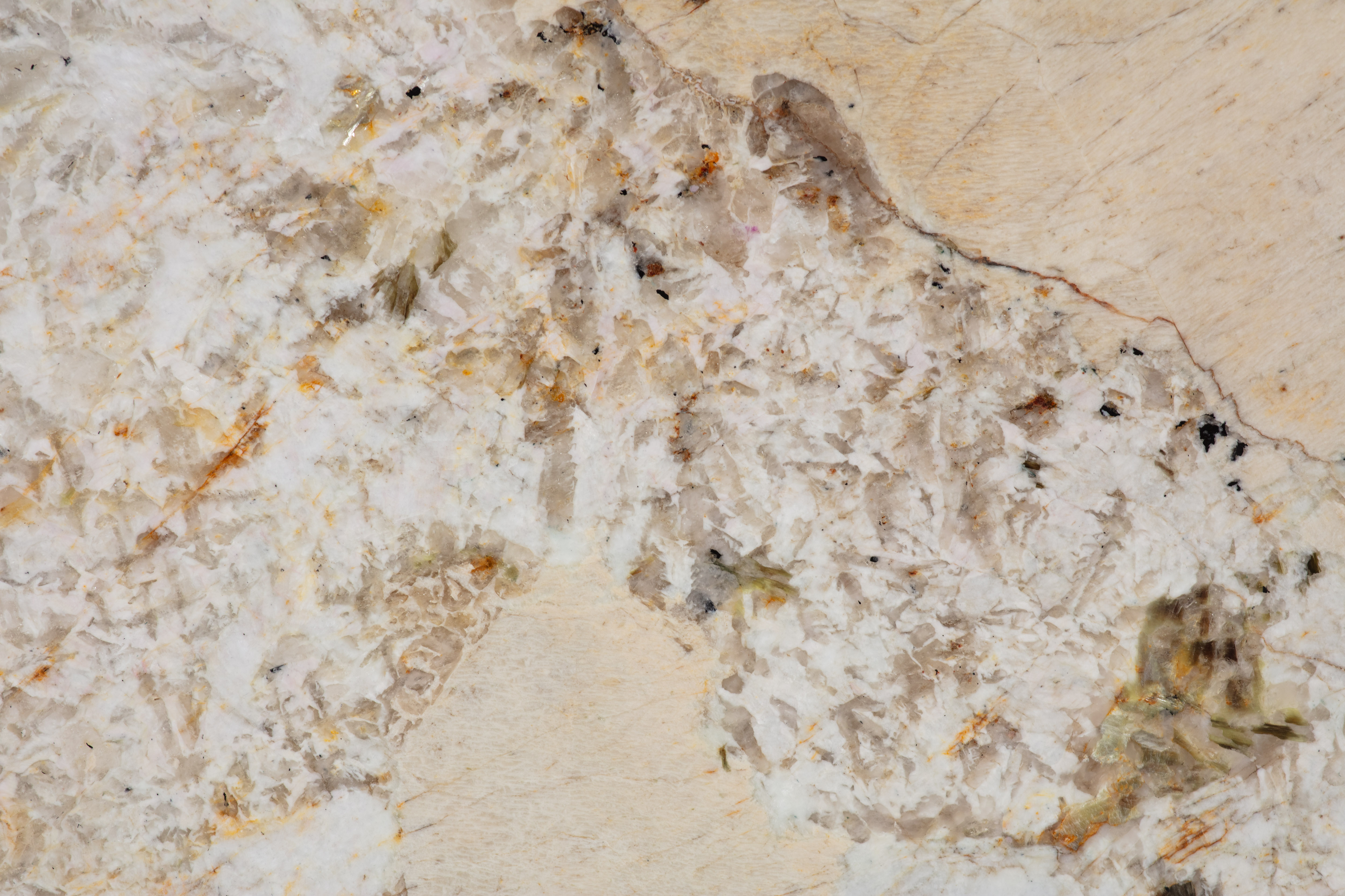 ALPINUS  - фото 6