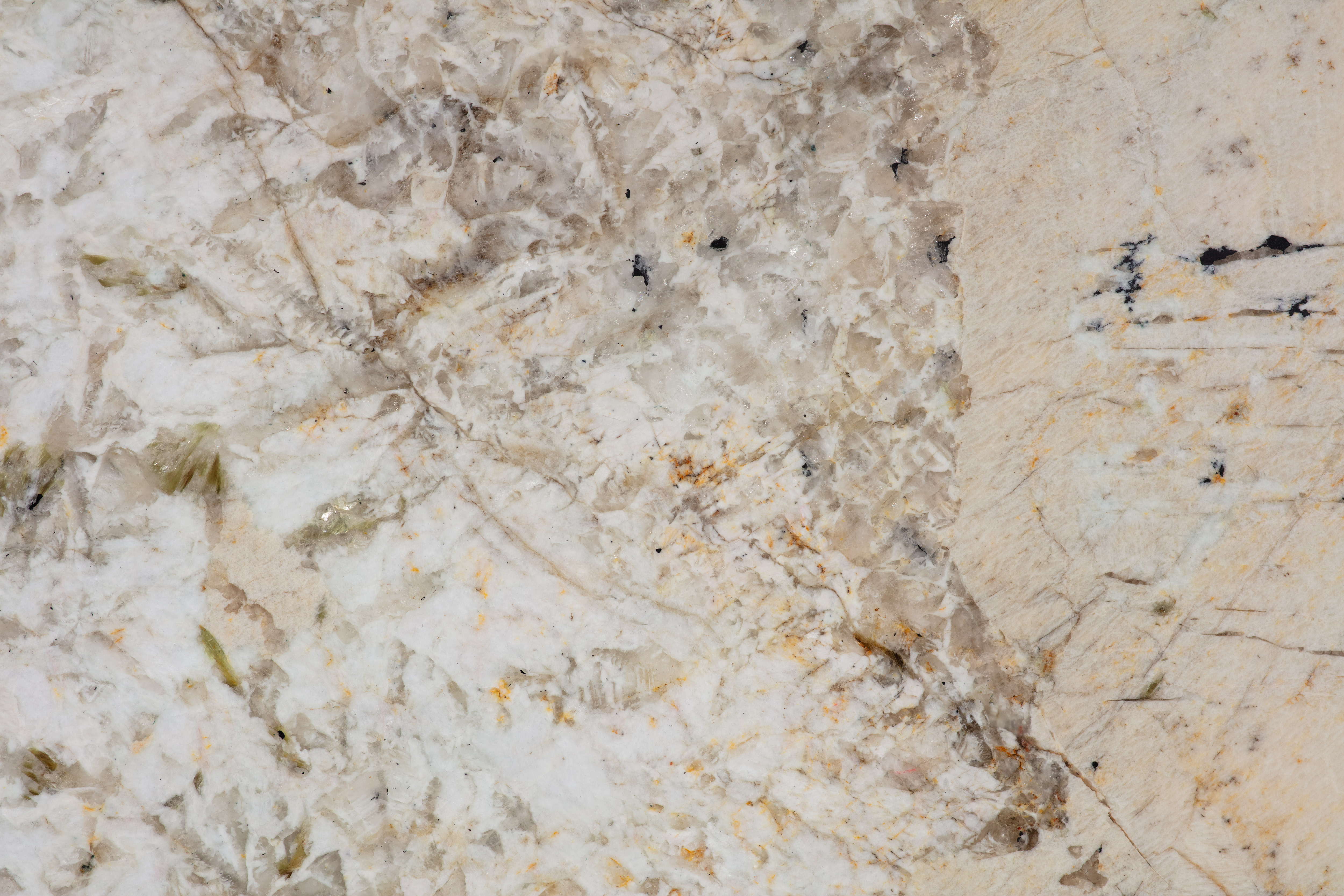 ALPINUS  - фото 7