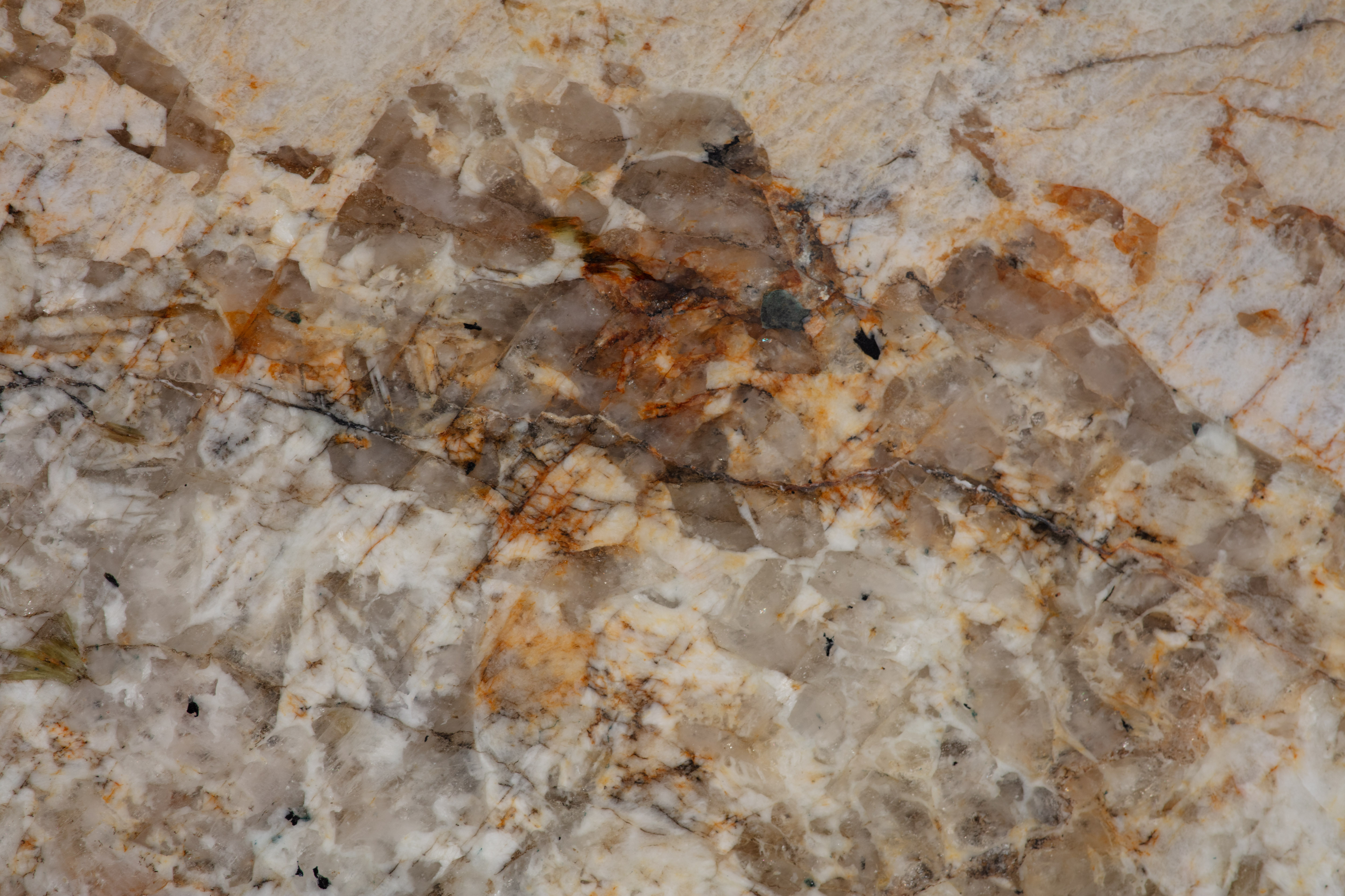 ALPINUS  - фото 9