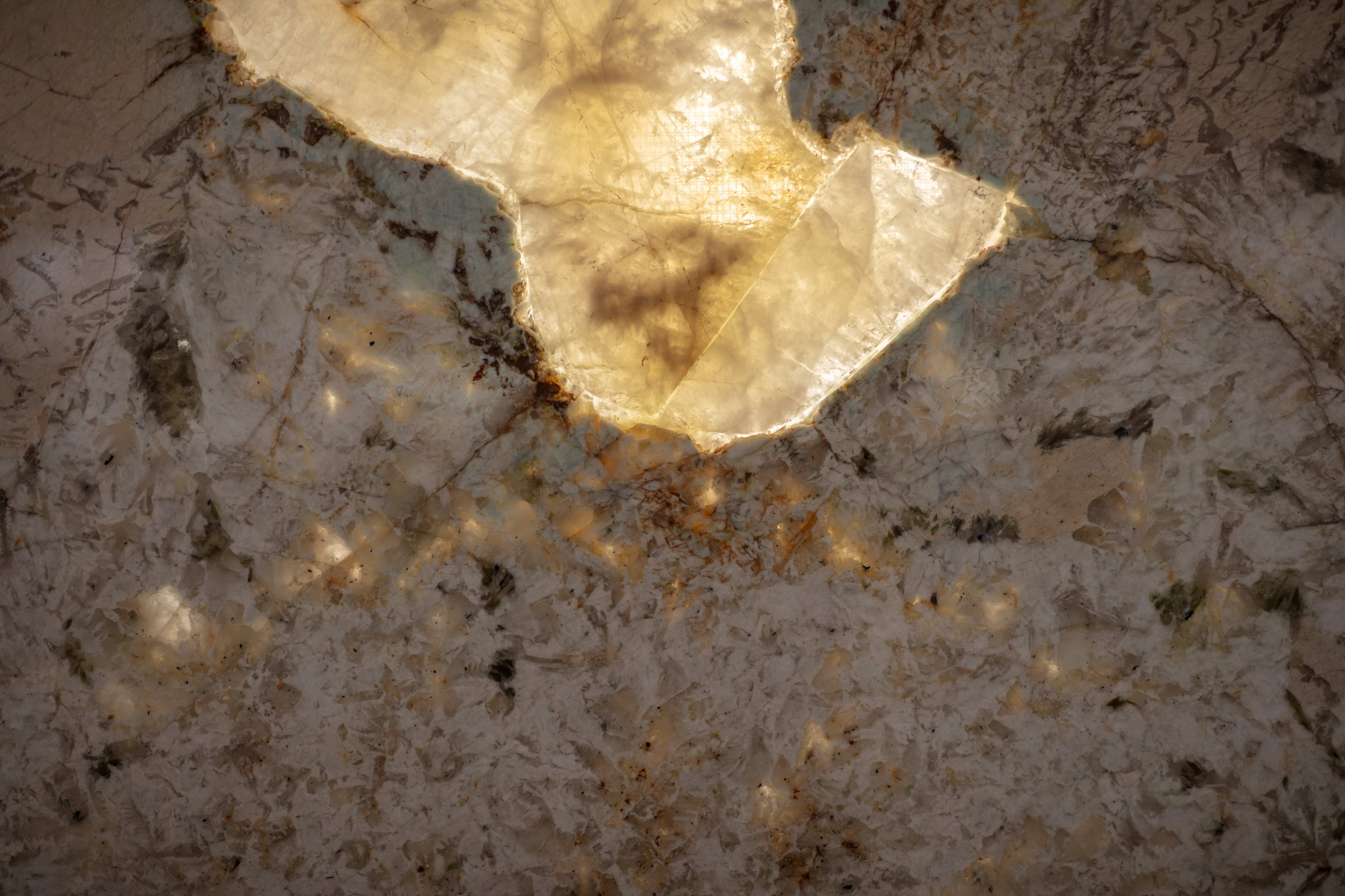 ALPINUS  - фото 10