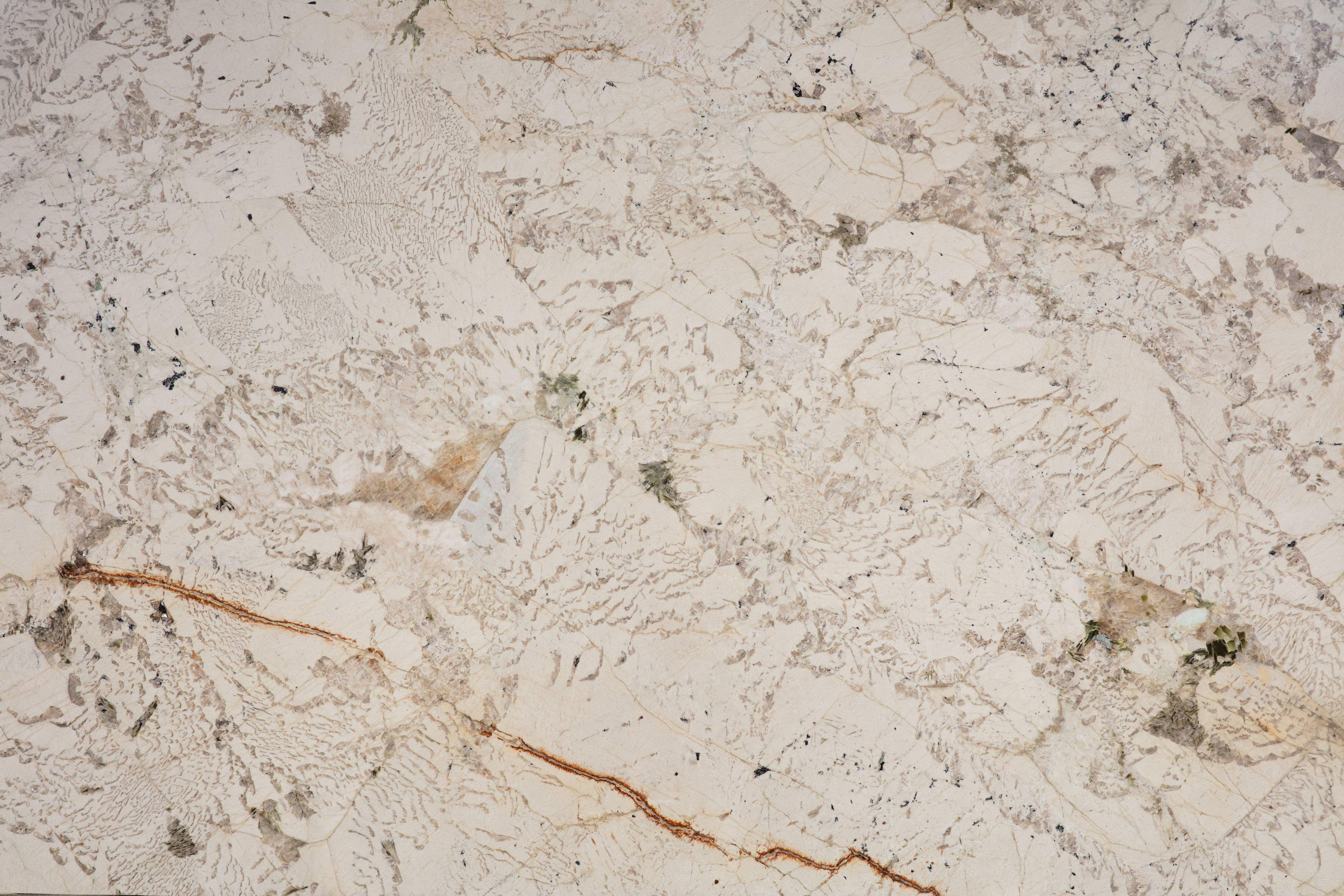 ALPINUS  - фото 2