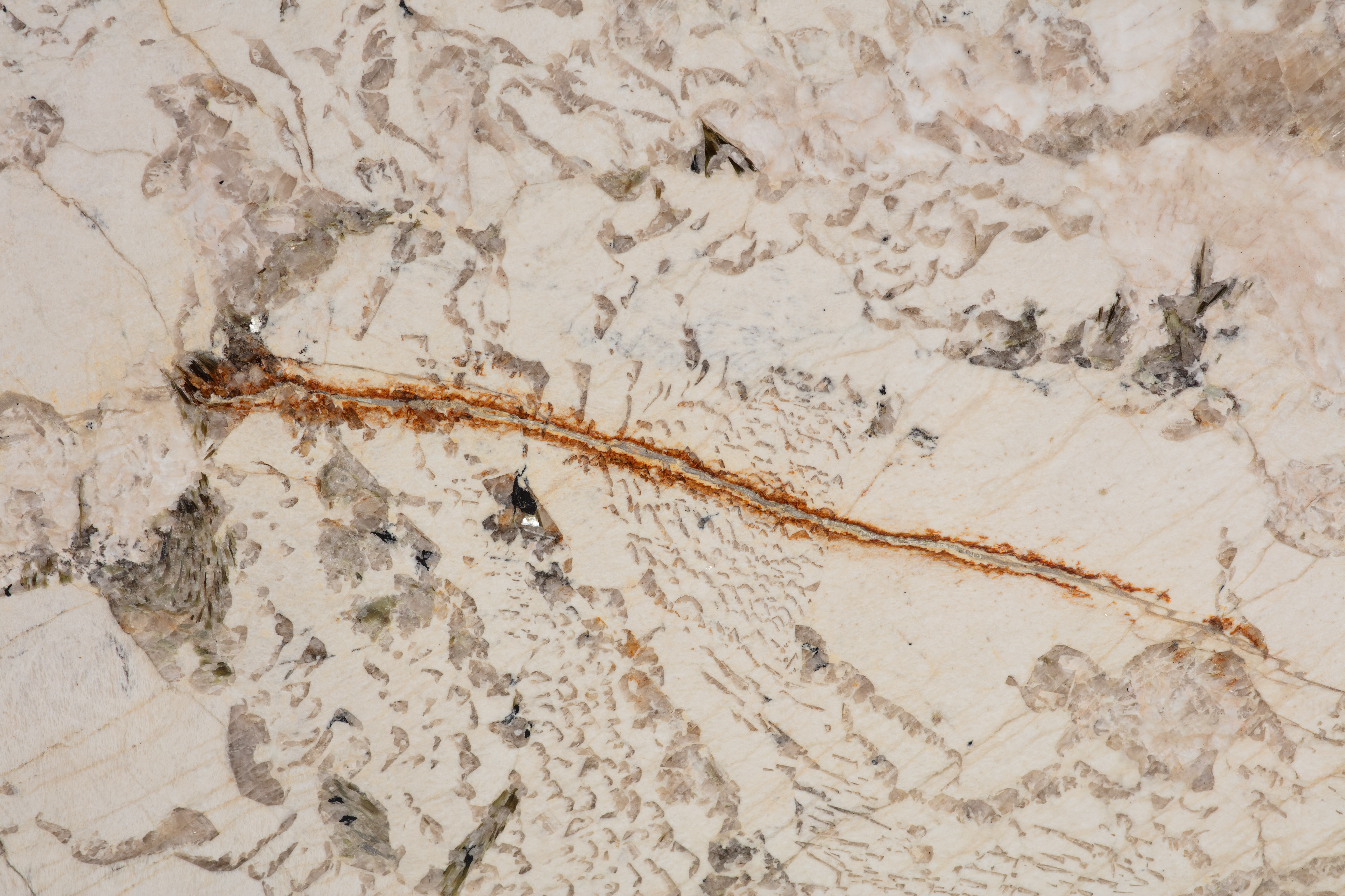 ALPINUS  - фото 3