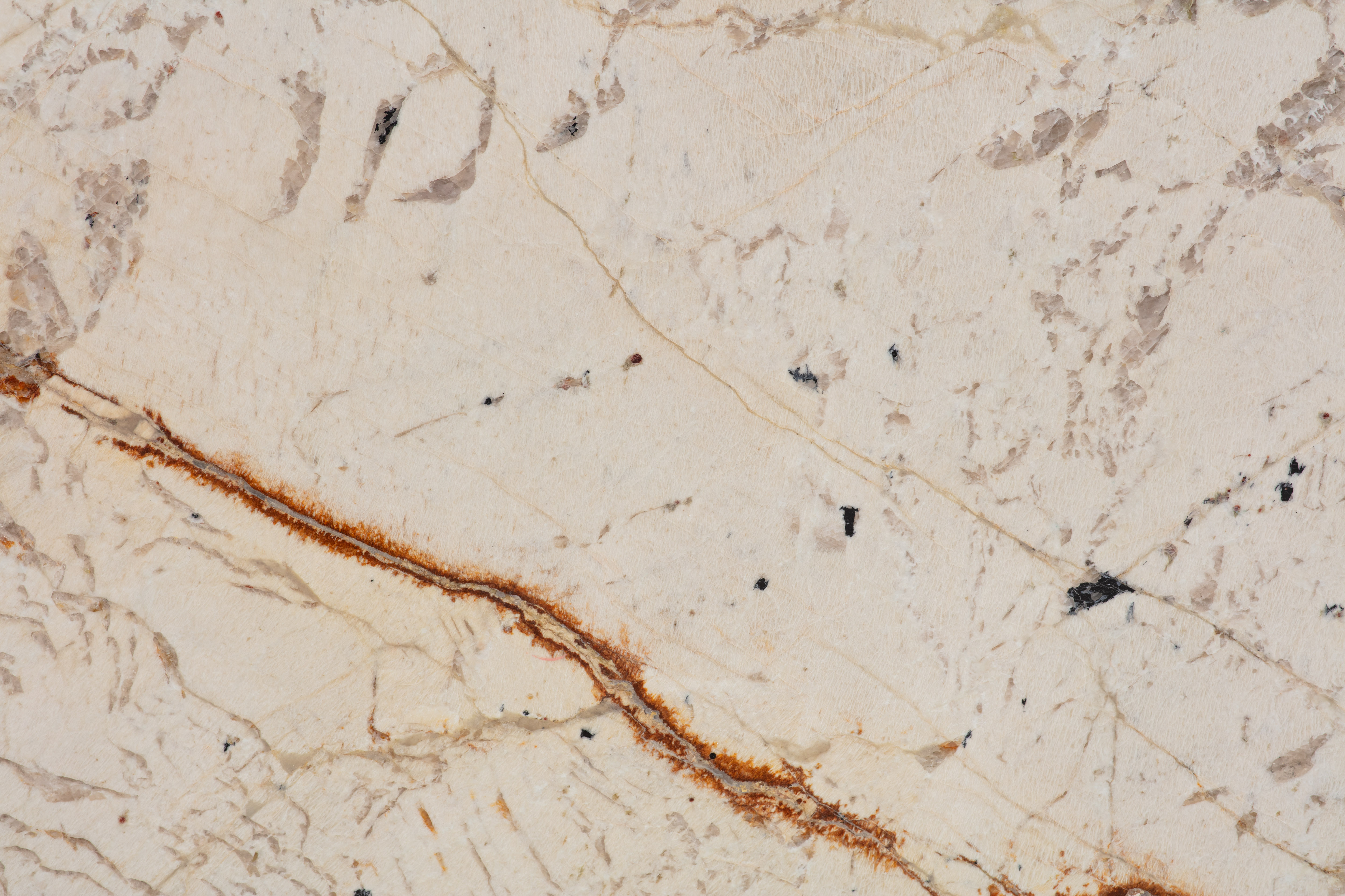 ALPINUS  - фото 4