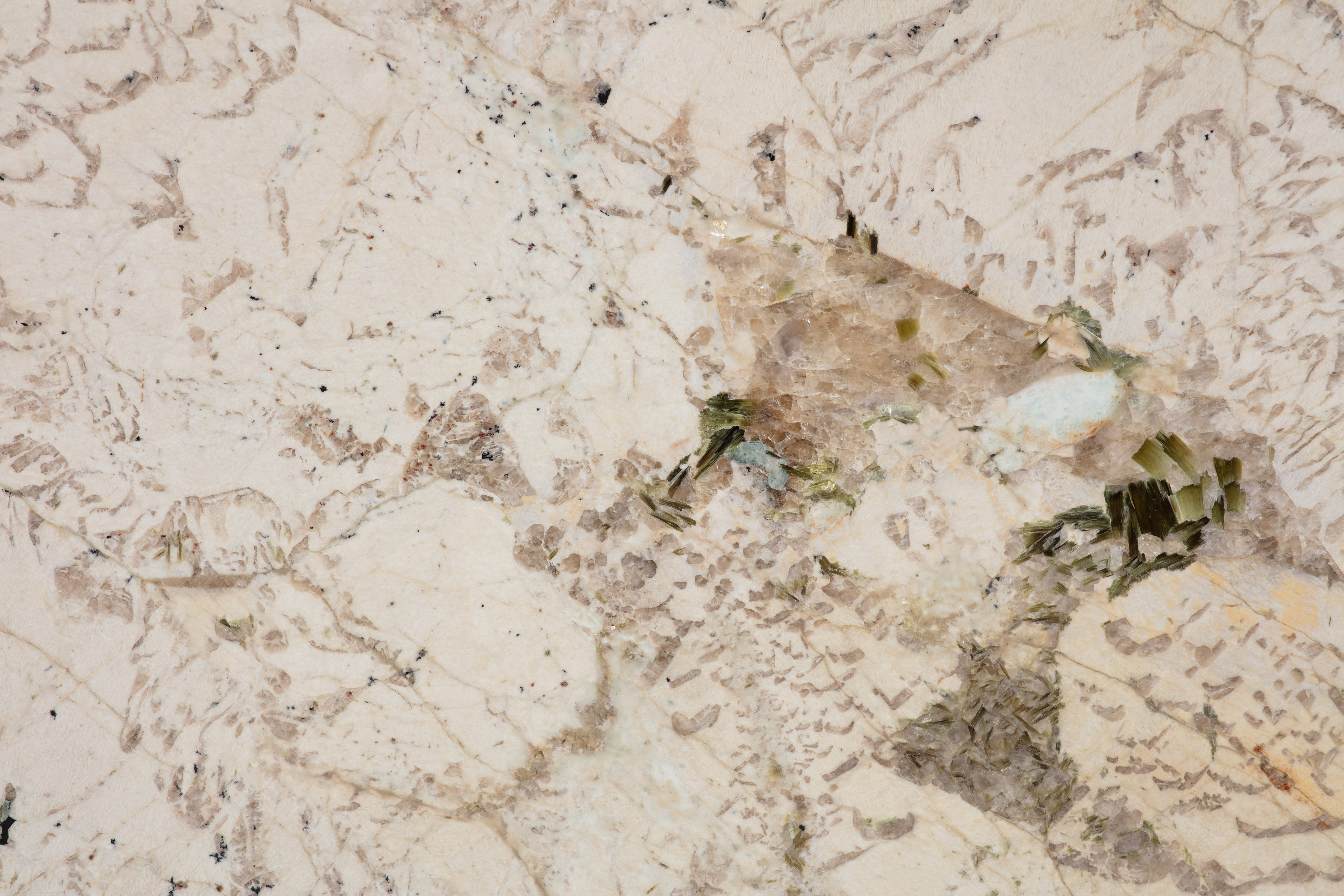 ALPINUS  - фото 5