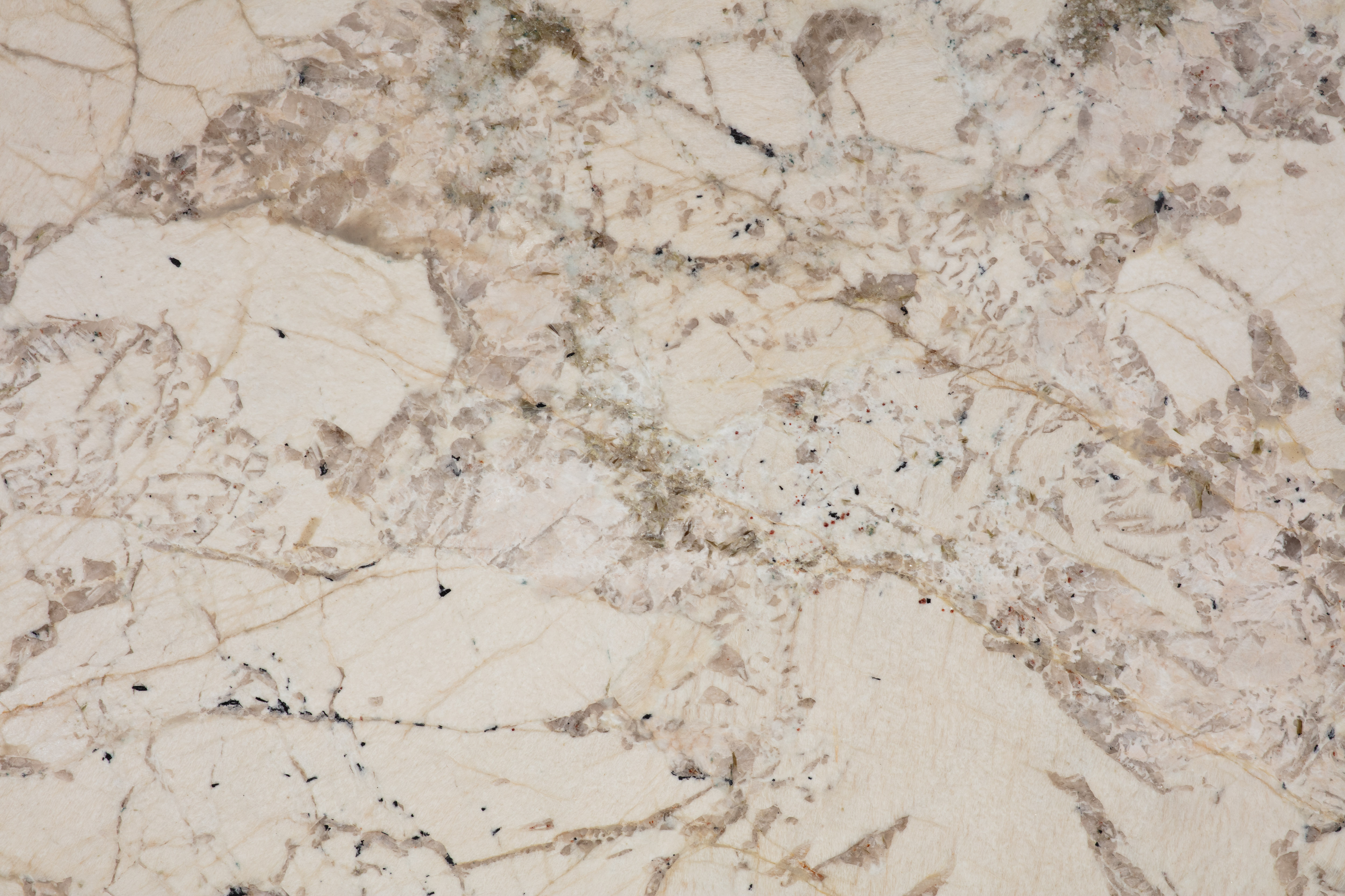 ALPINUS  - фото 6