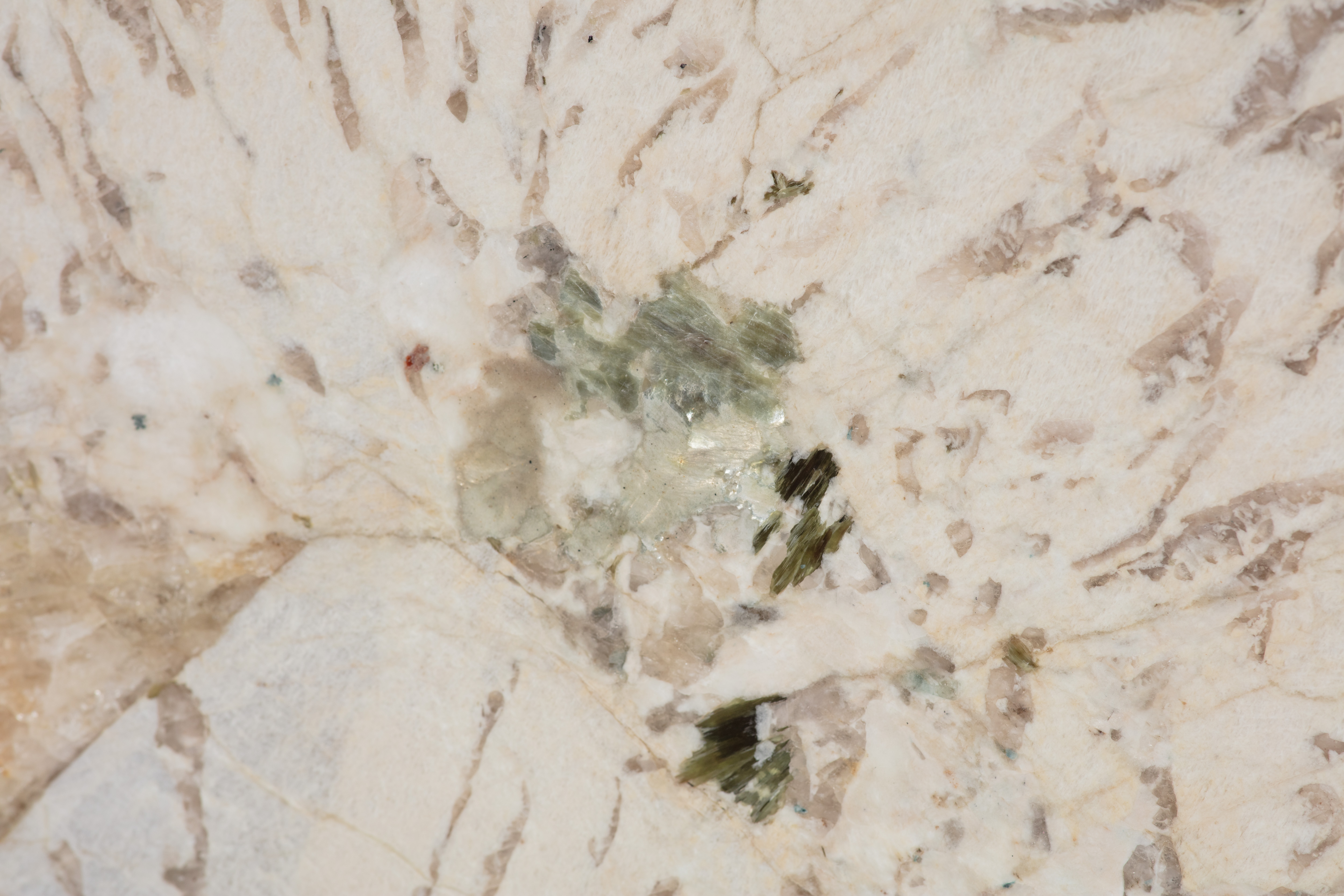 ALPINUS  - фото 9