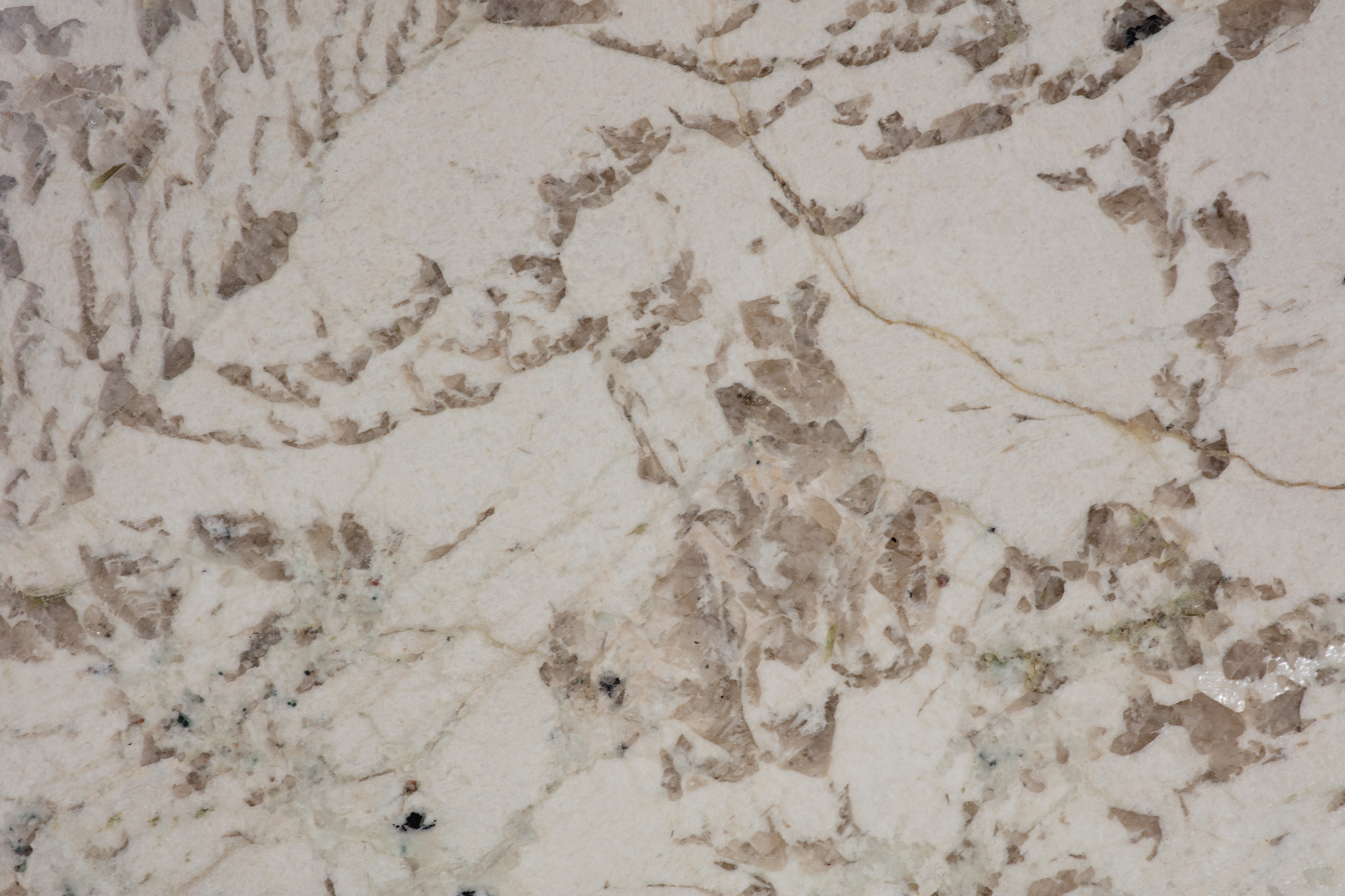 ALPINUS  - фото 10