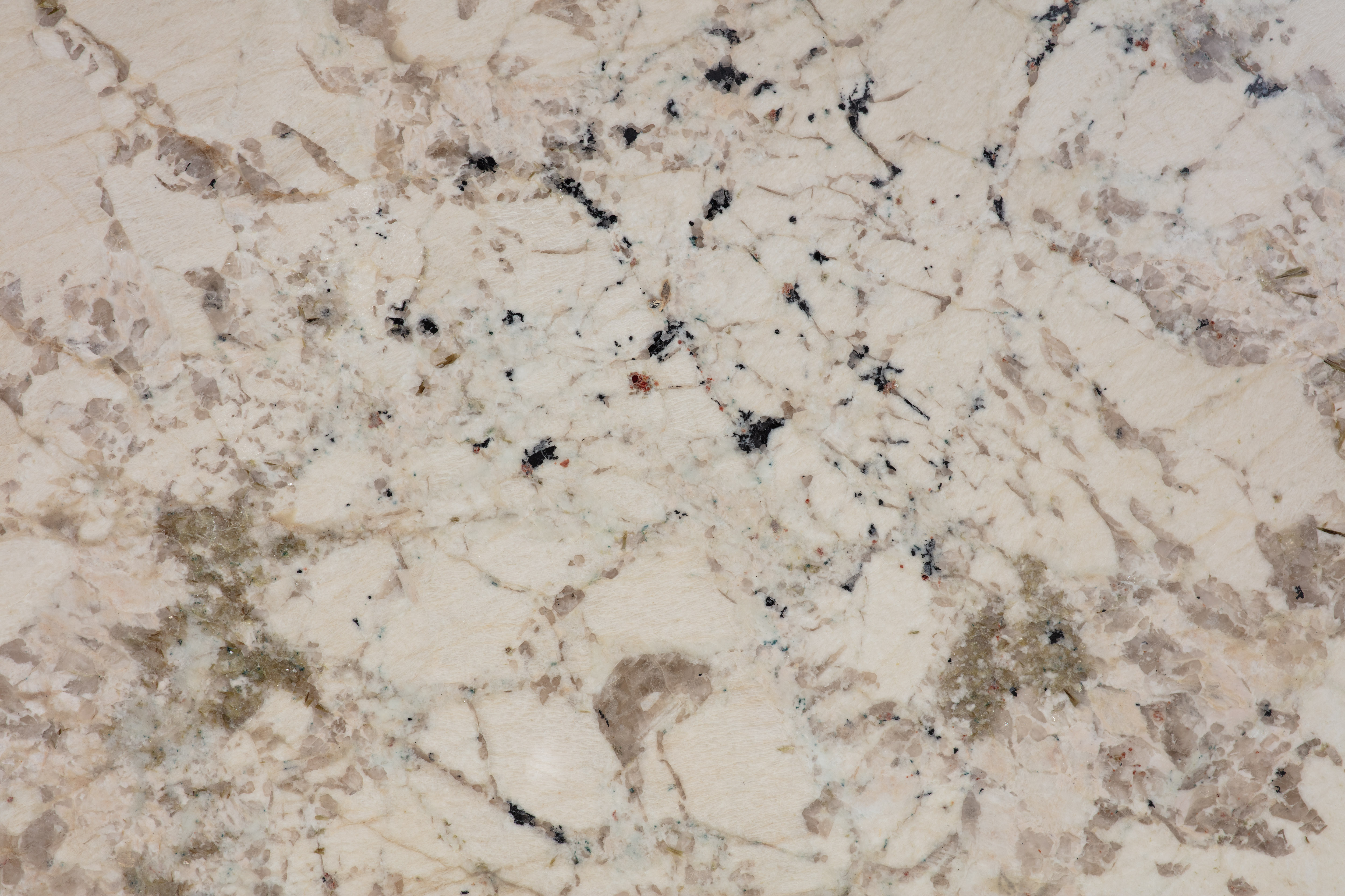 ALPINUS  - фото 12