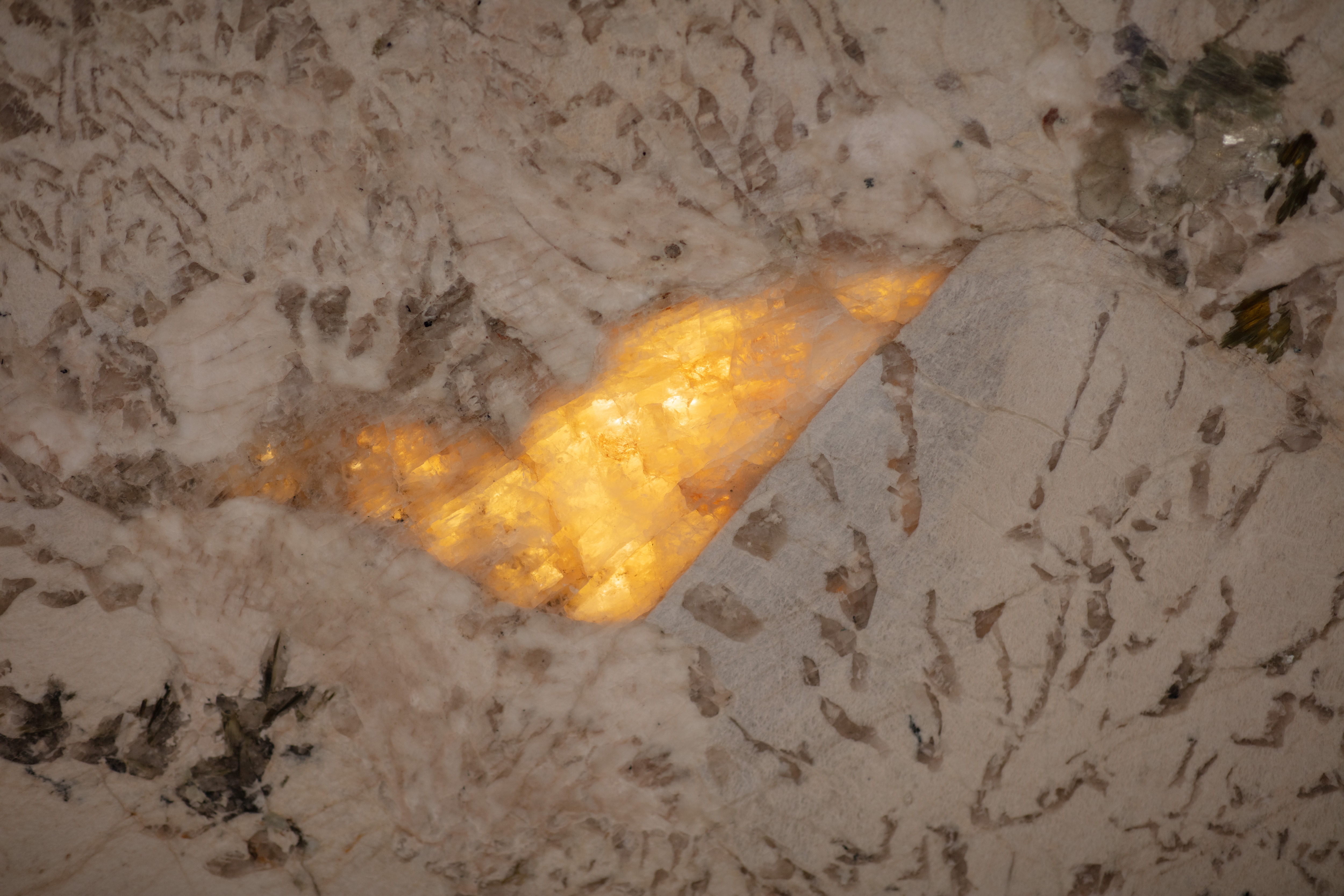 ALPINUS  - фото 13