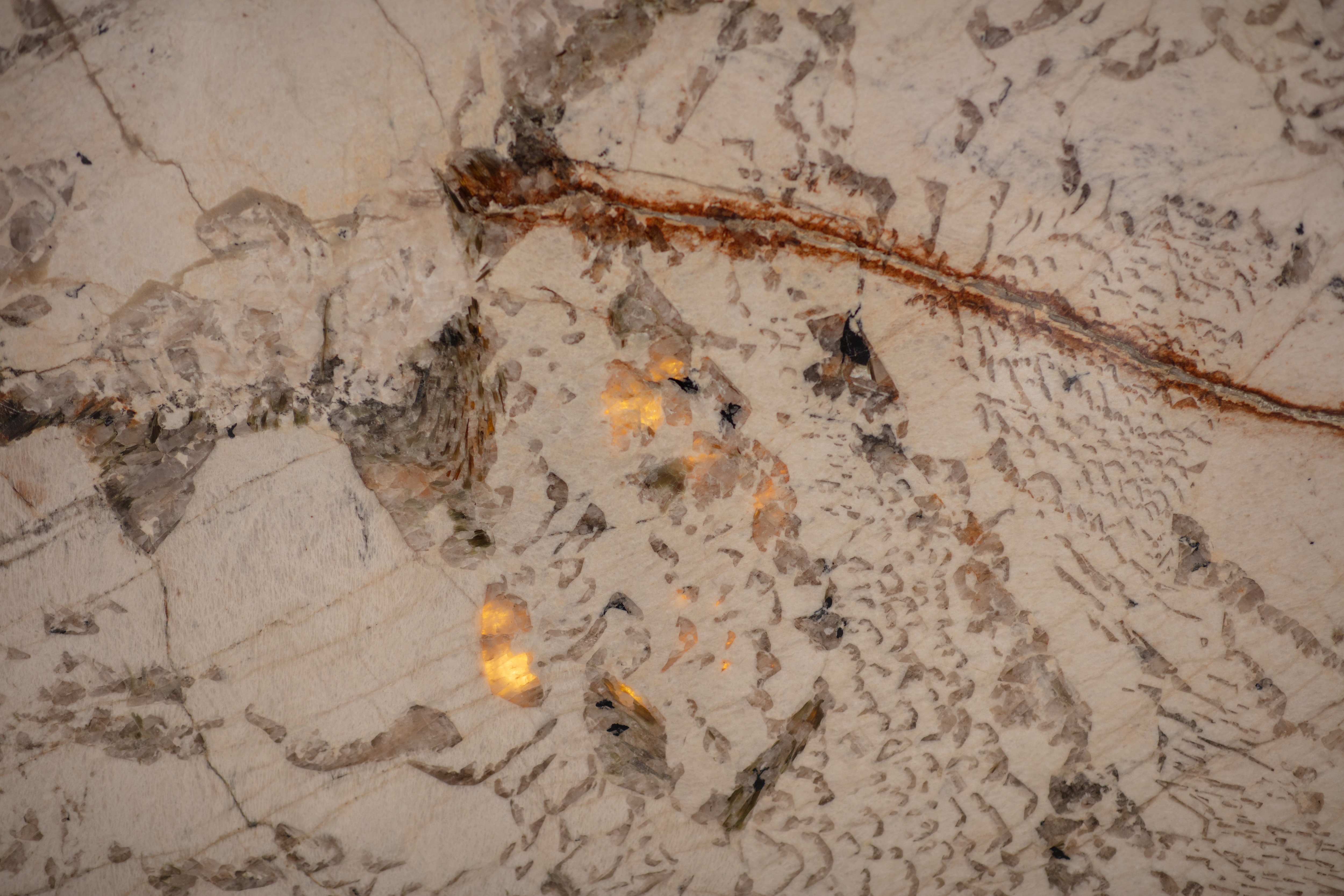 ALPINUS  - фото 14