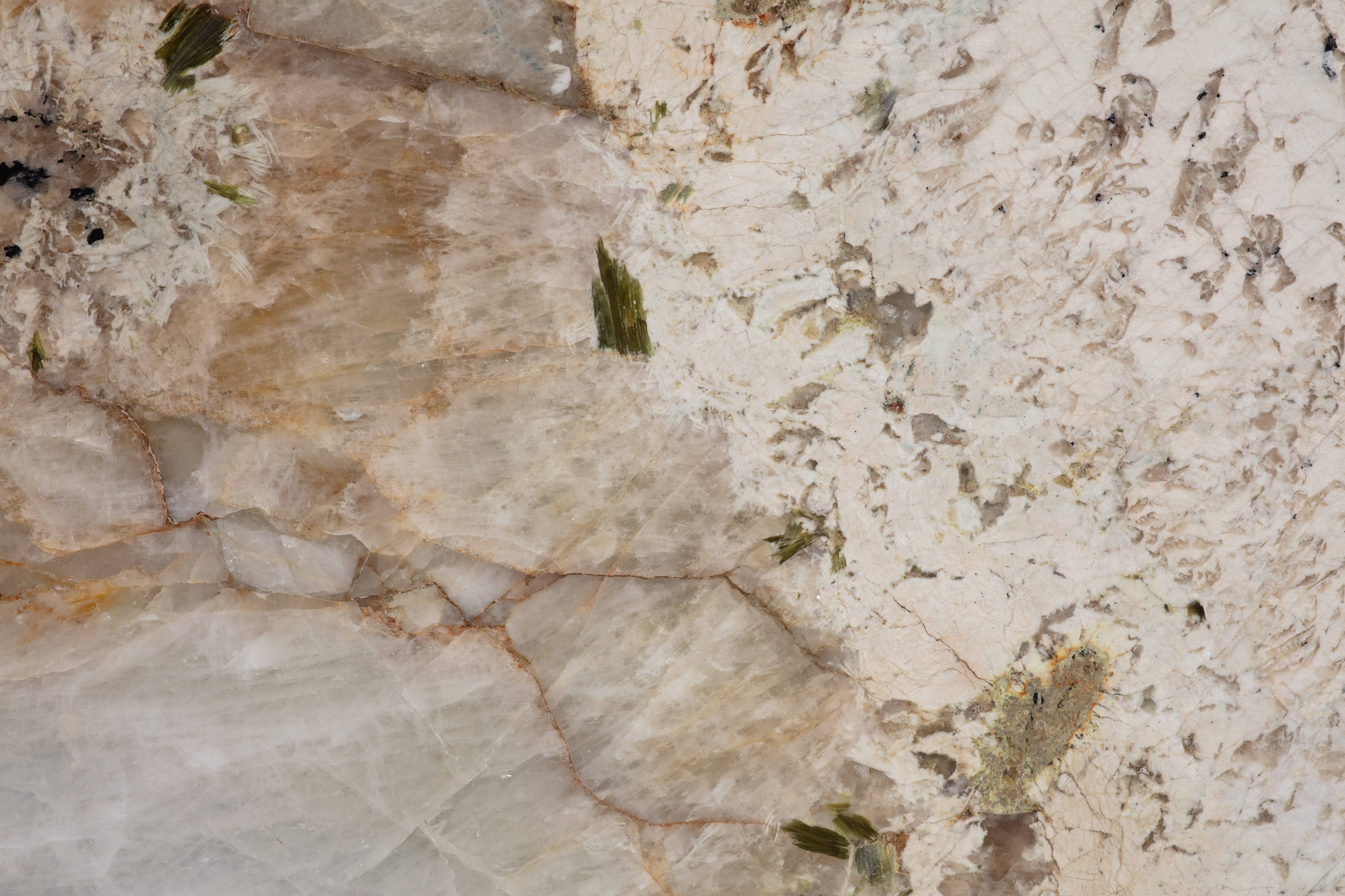 ALPINUS  - фото 2