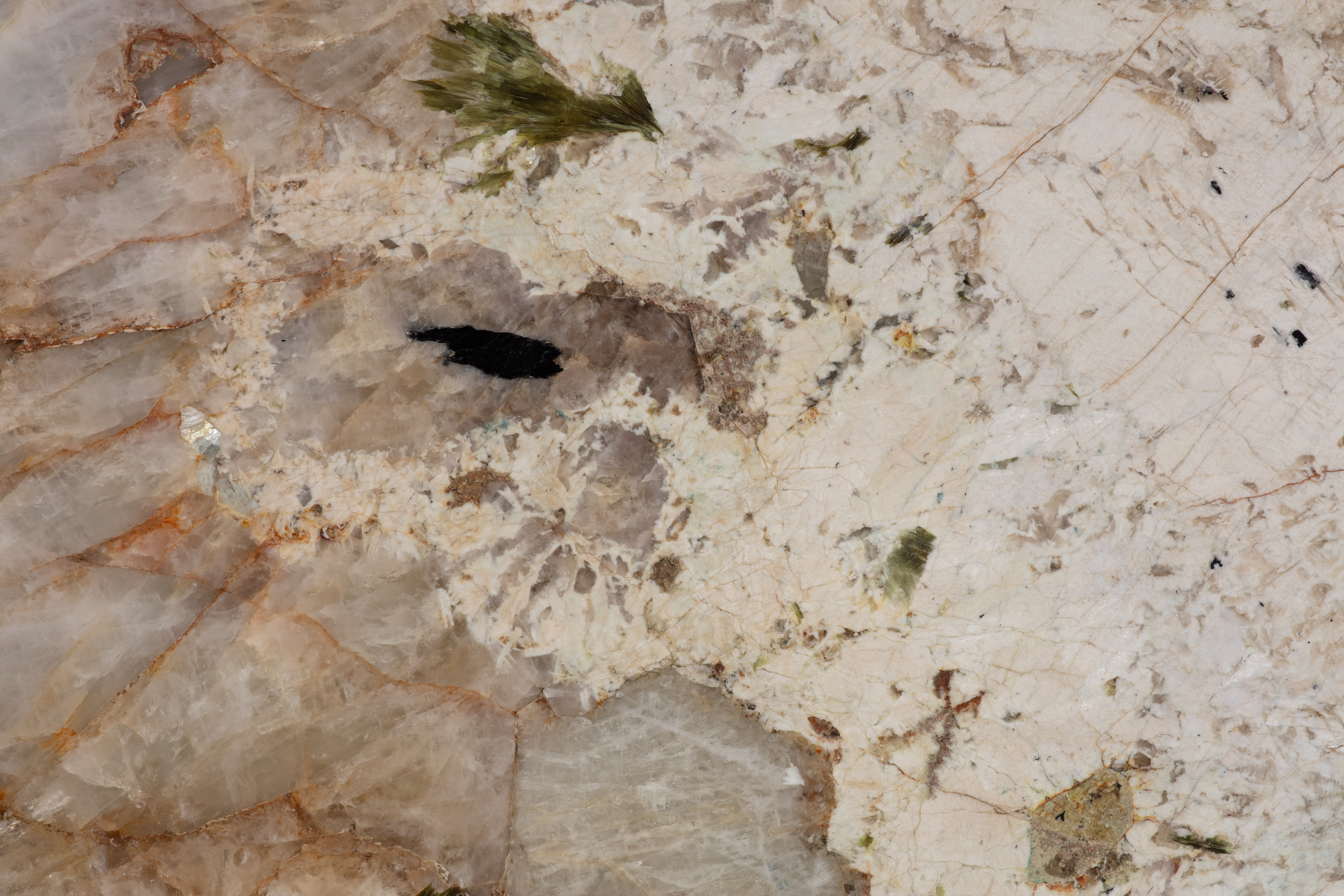 ALPINUS  - фото 3