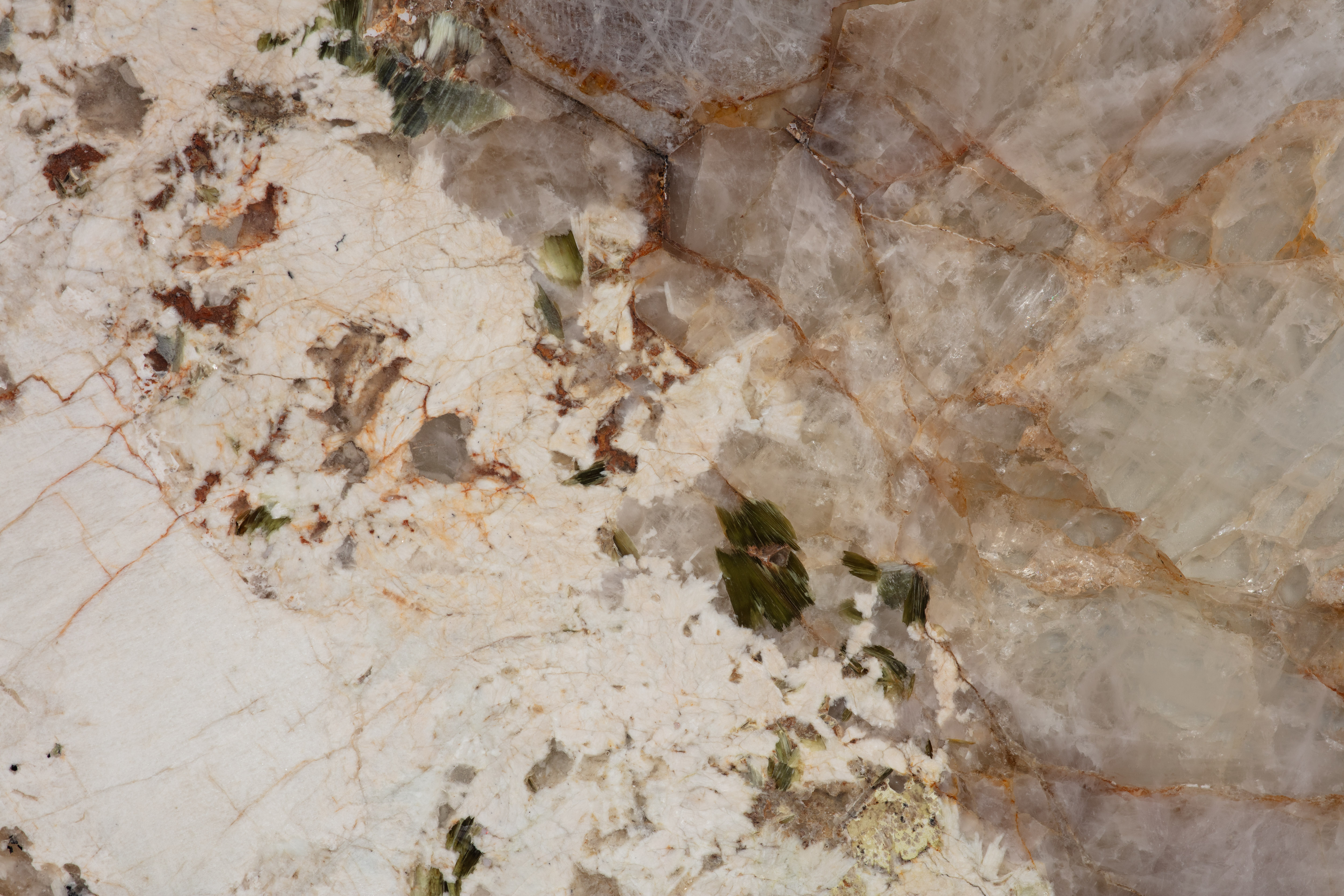 ALPINUS  - фото 4