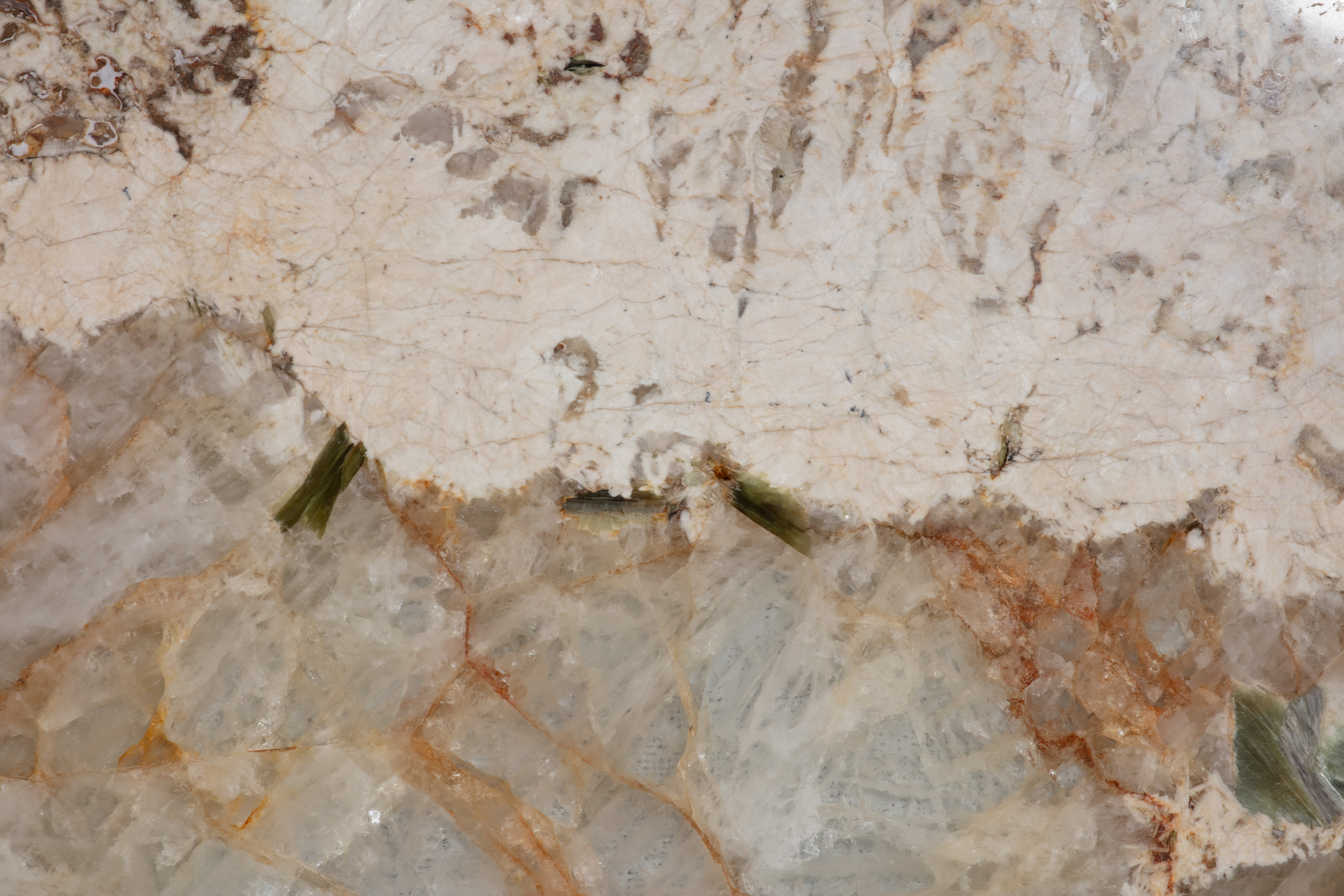 ALPINUS  - фото 5