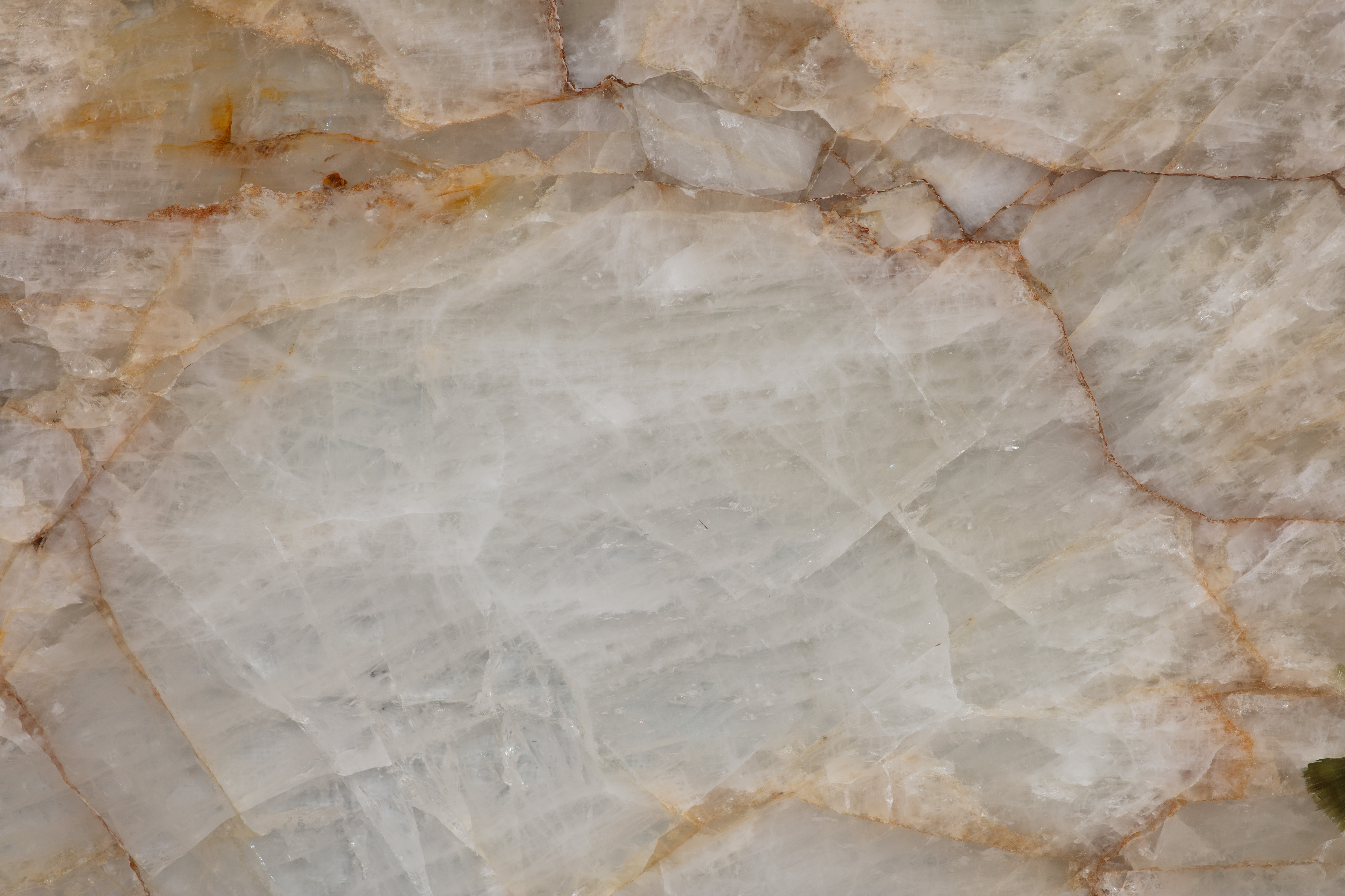 ALPINUS  - фото 8