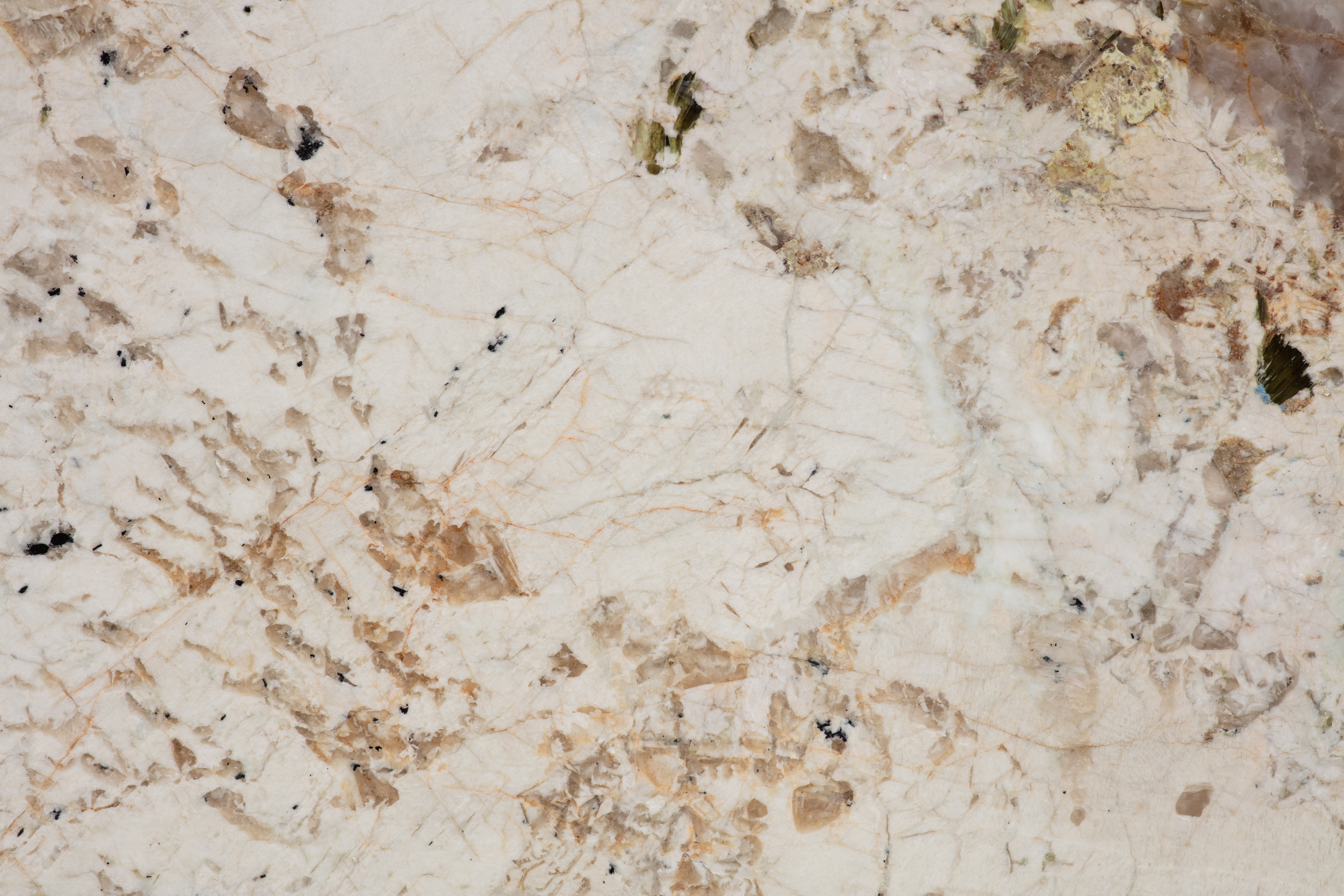 ALPINUS  - фото 10
