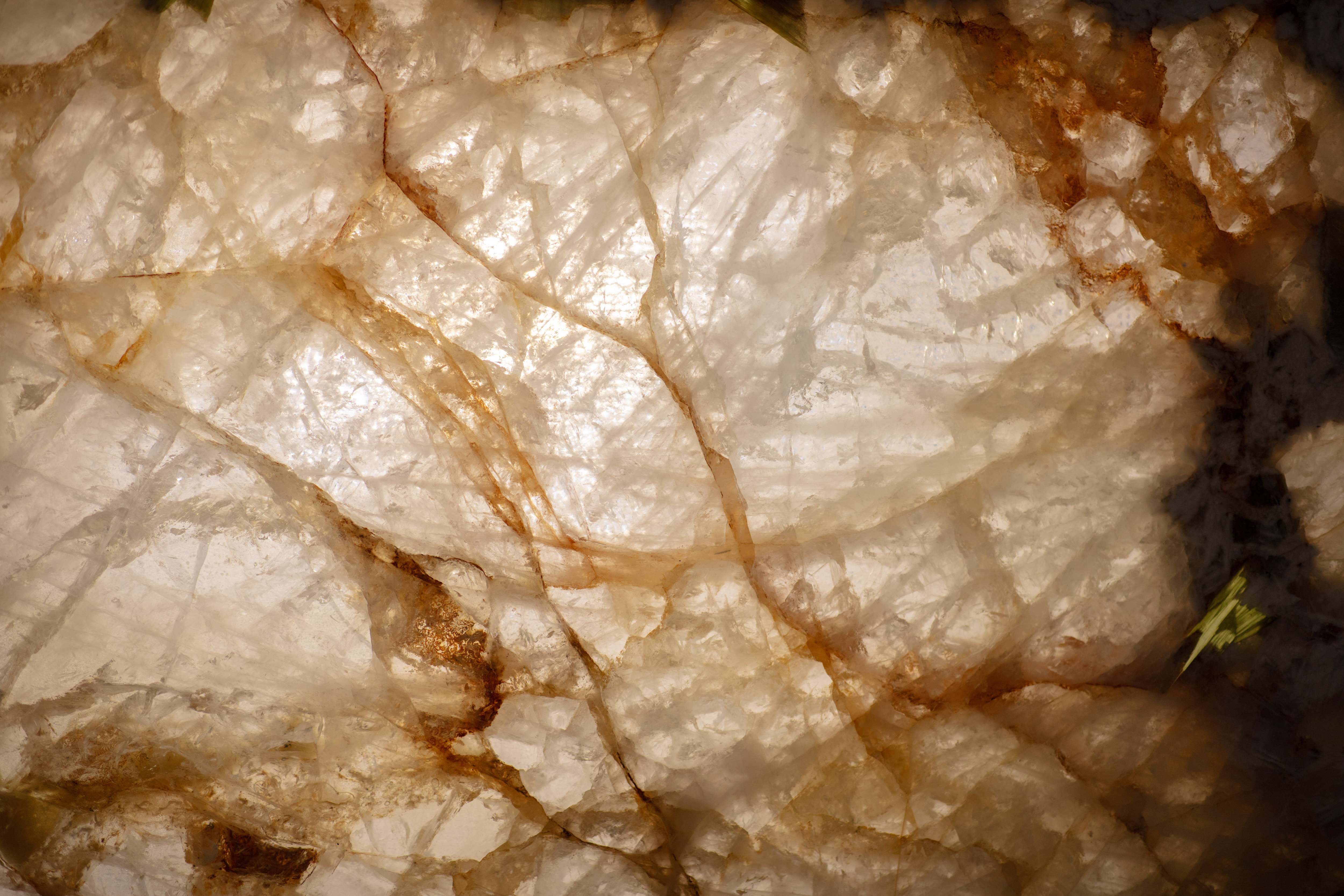 ALPINUS  - фото 14