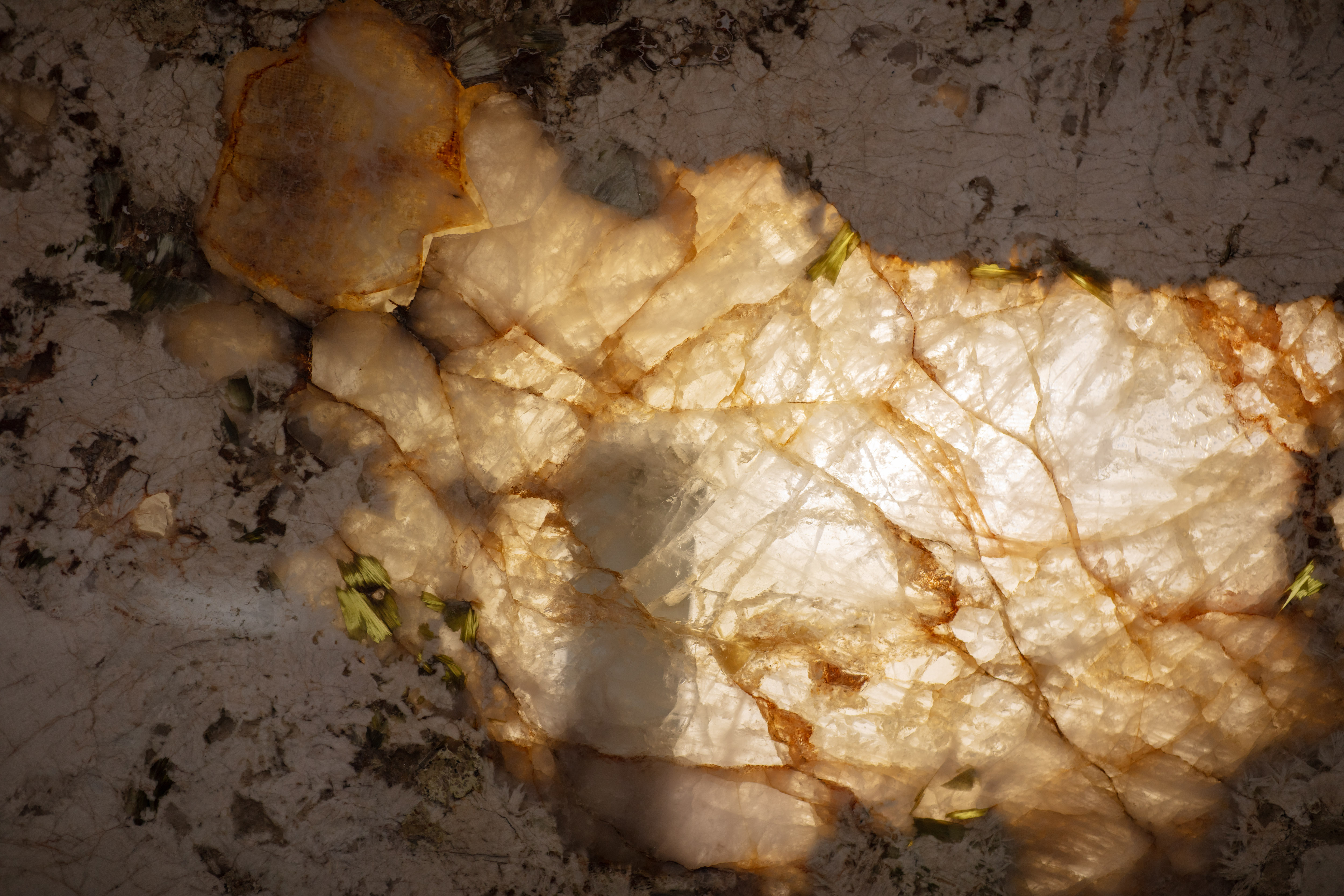 ALPINUS  - фото 15