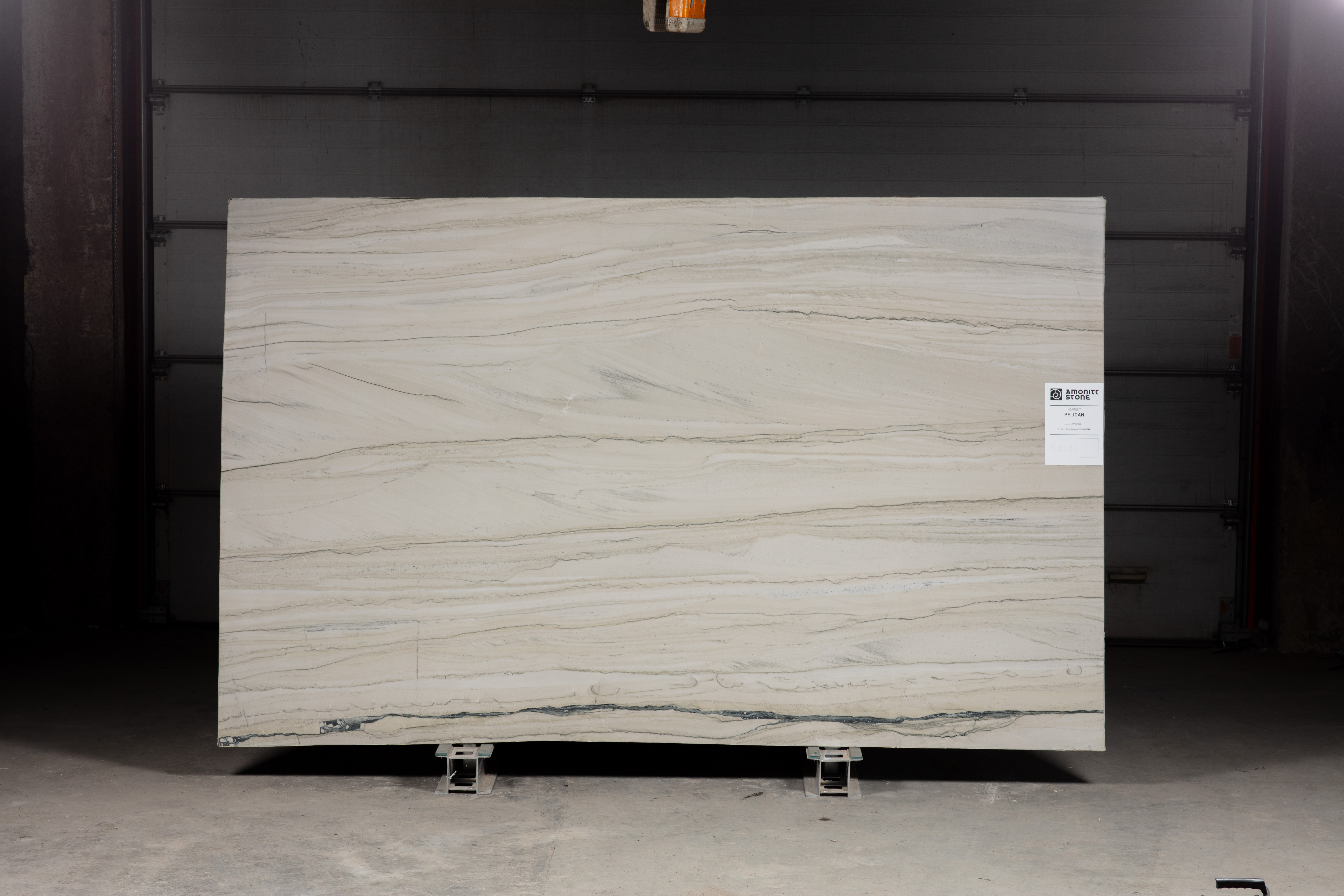 PELICAN - фото 1