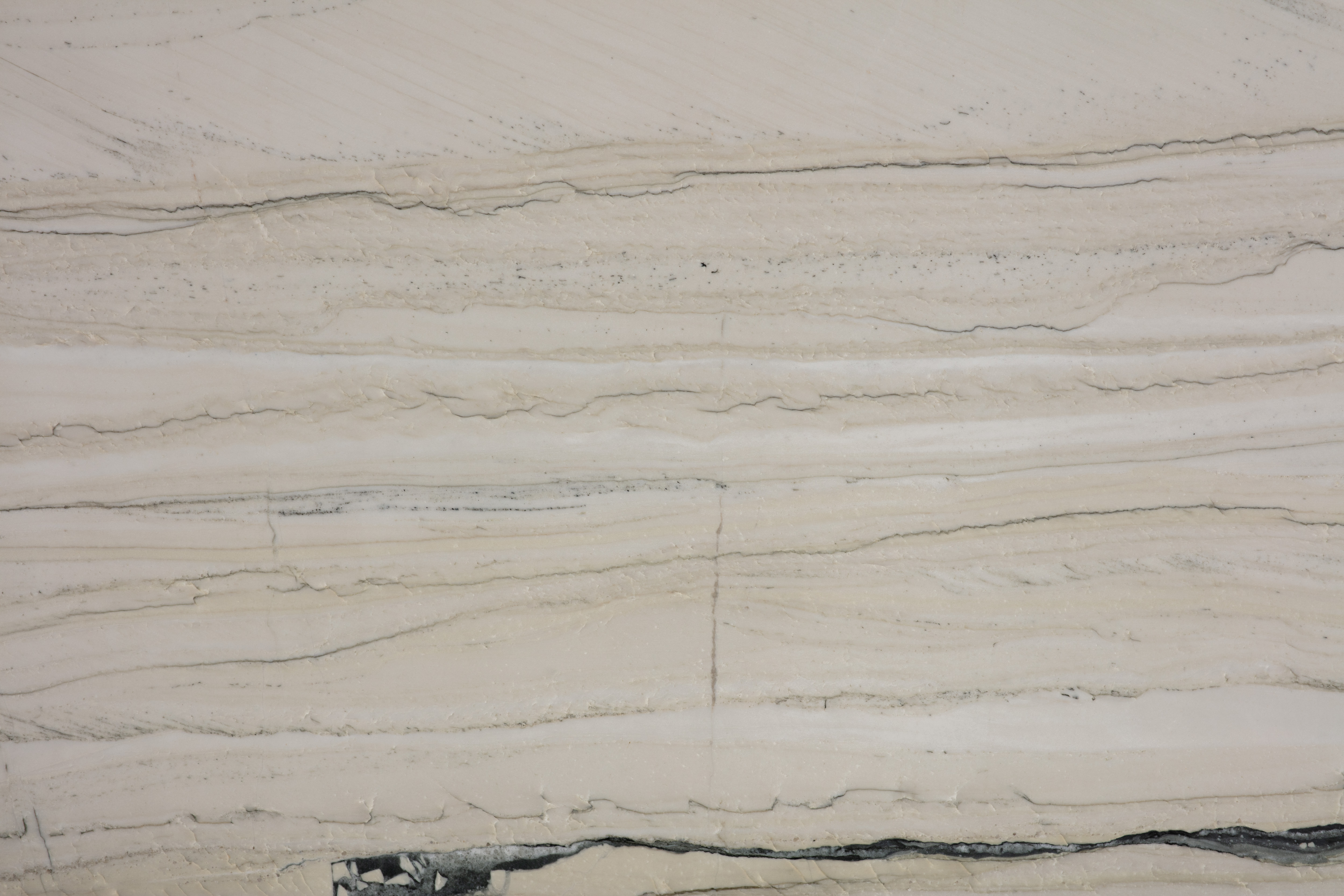 PELICAN - фото 2