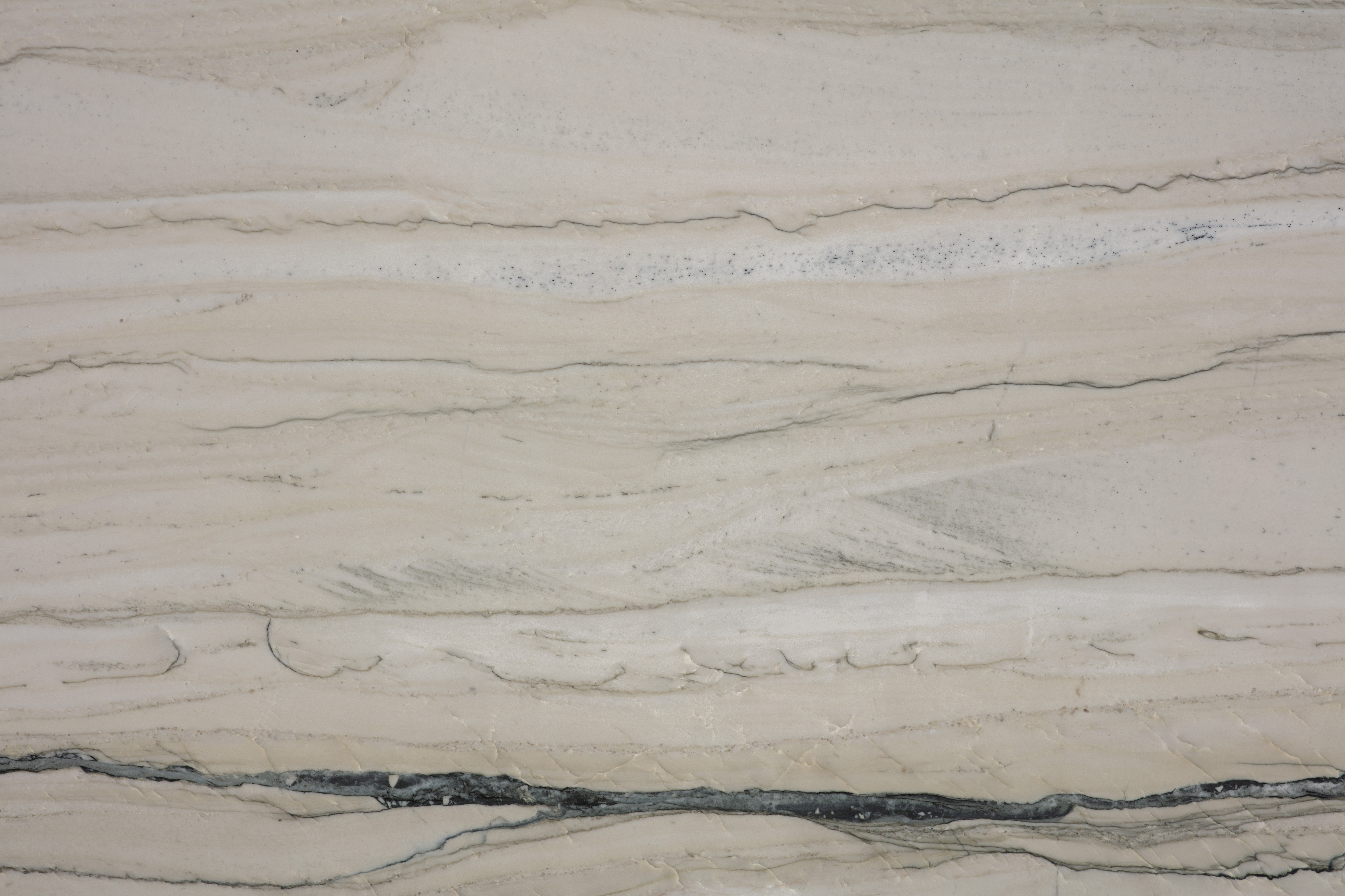 PELICAN - фото 3