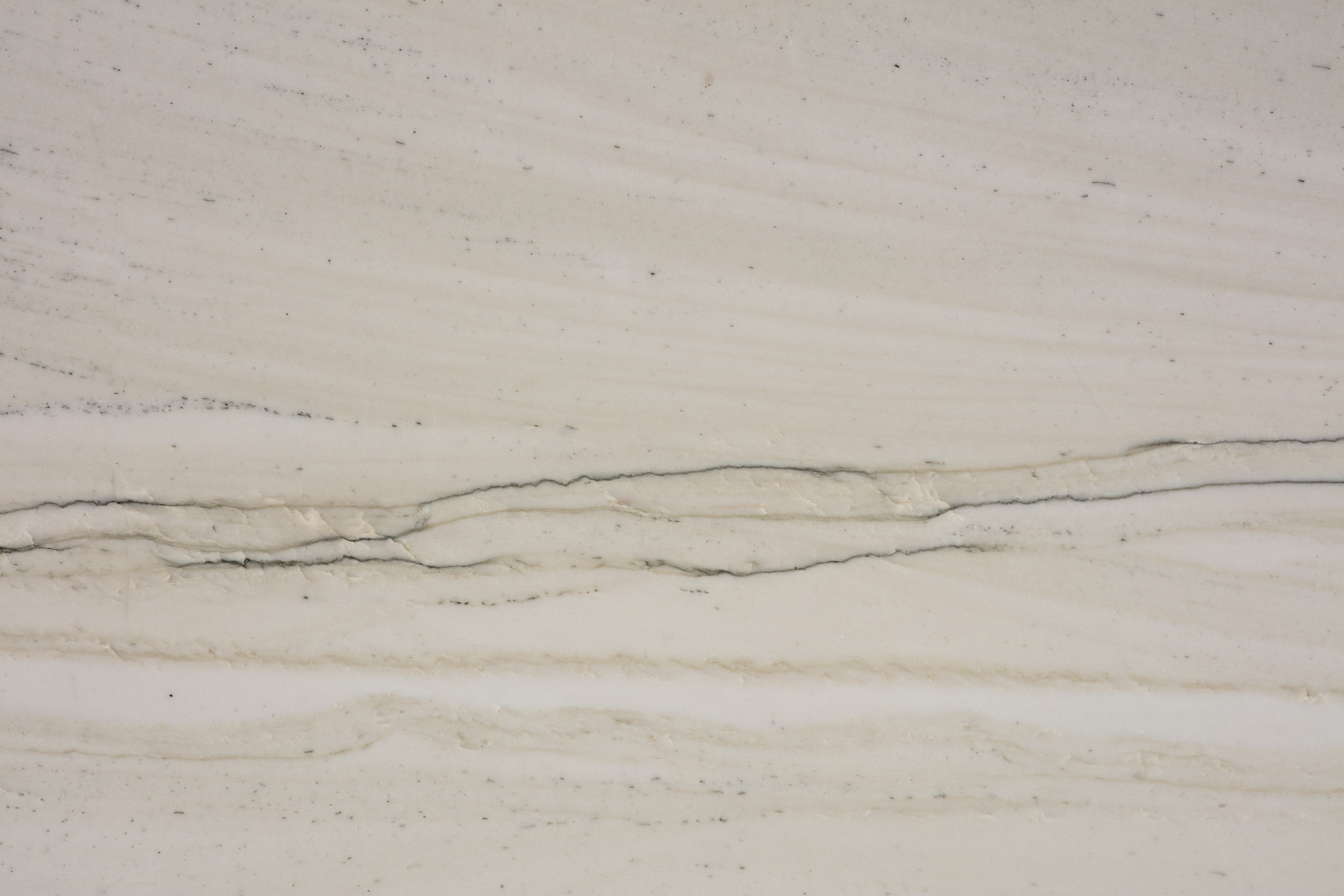 PELICAN - фото 4