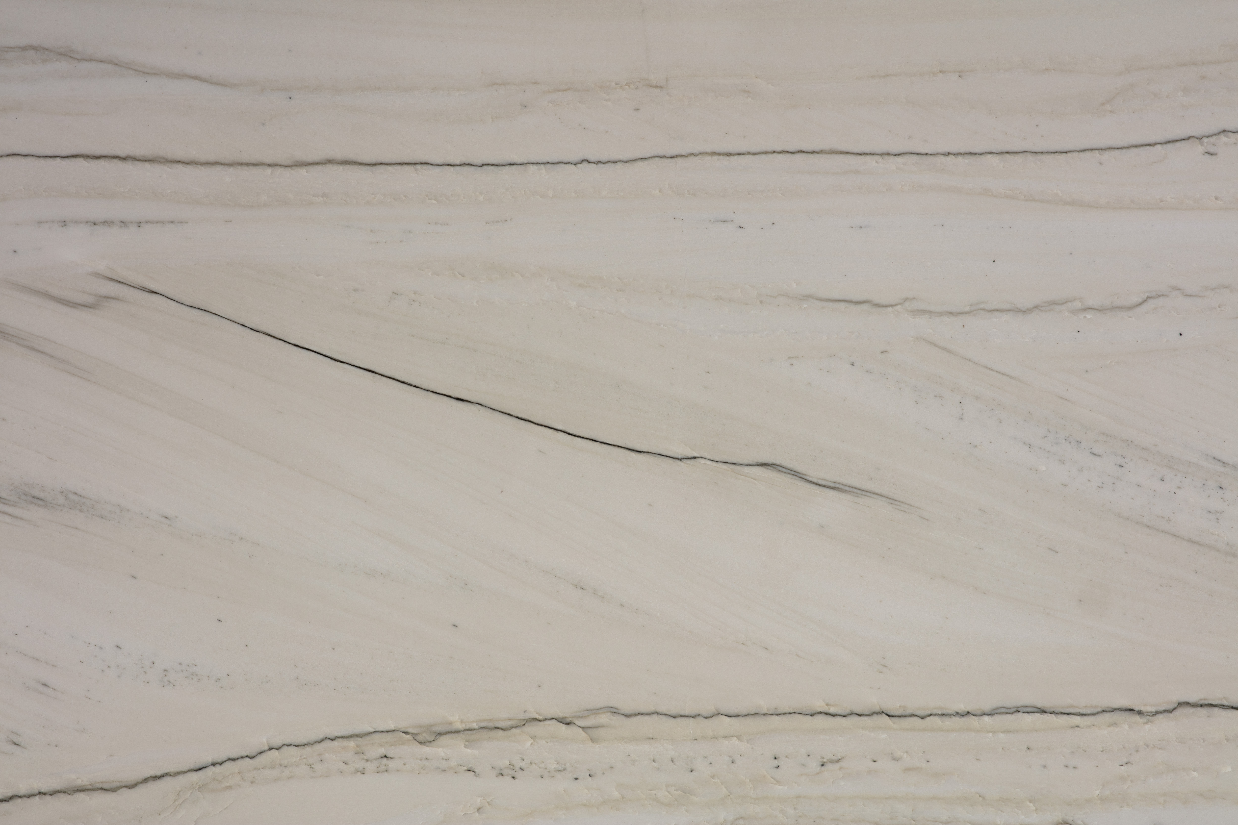 PELICAN - фото 5