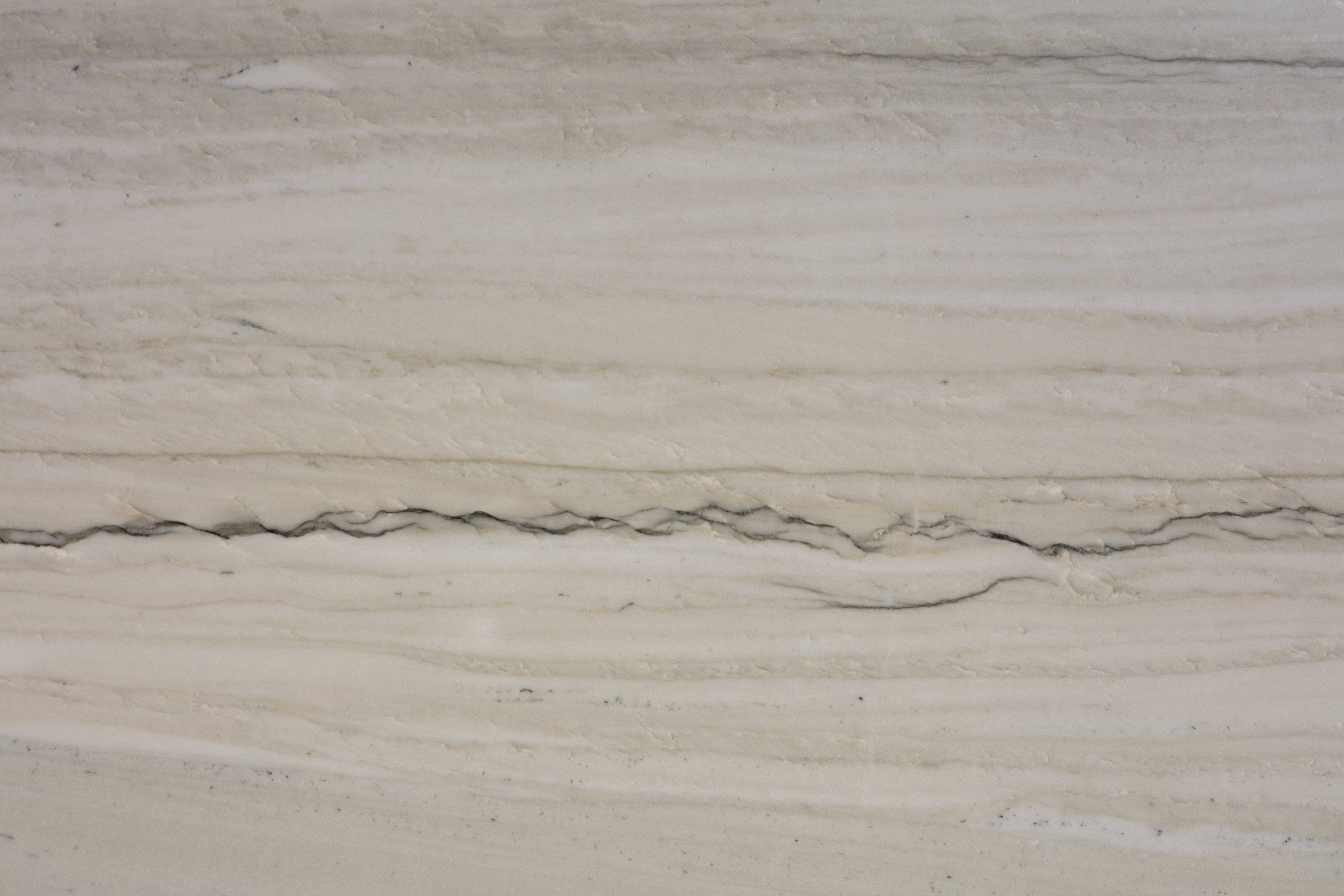 PELICAN - фото 7