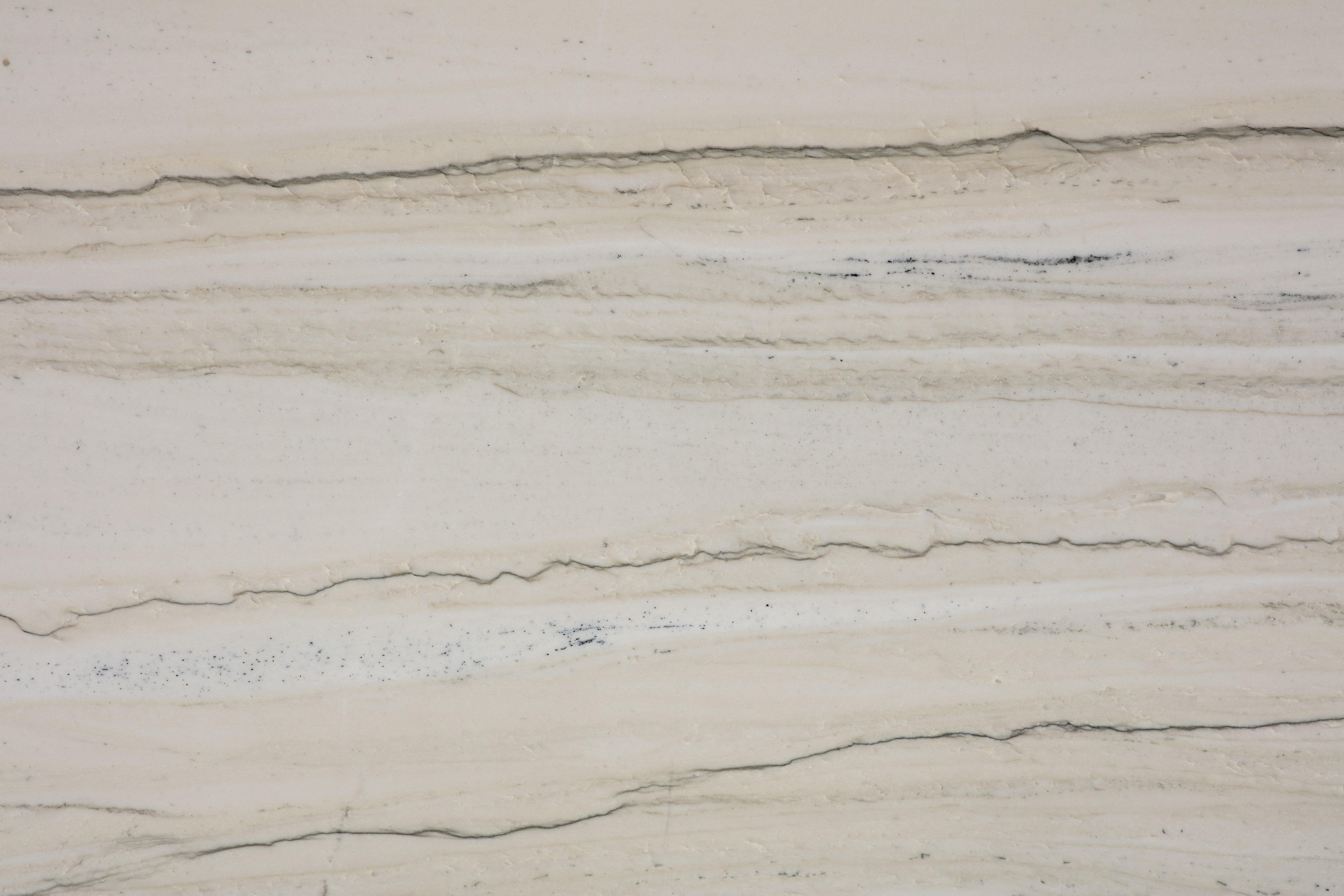 PELICAN - фото 8