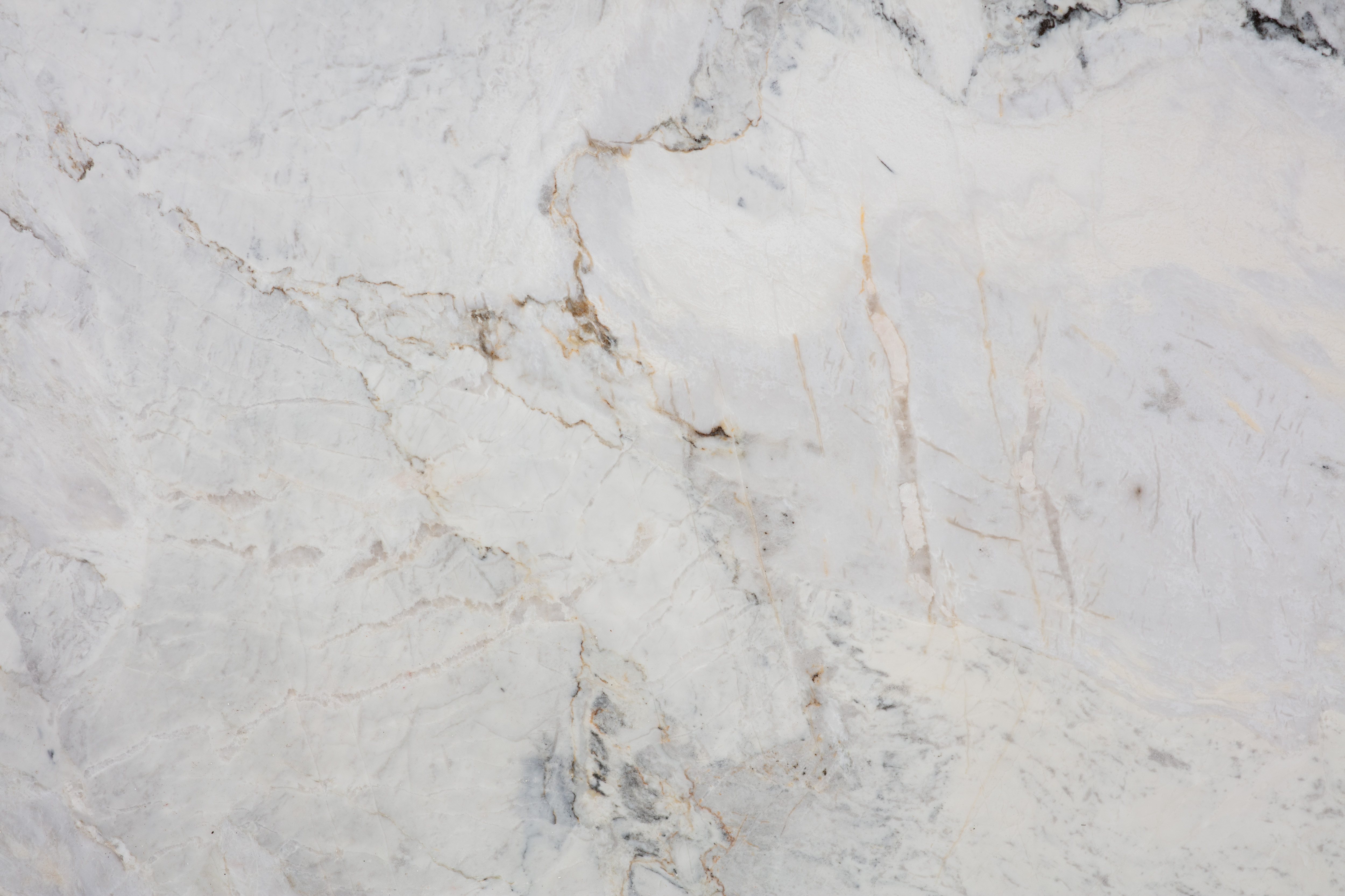 CALACATTA MICHELANGELO  - фото 3