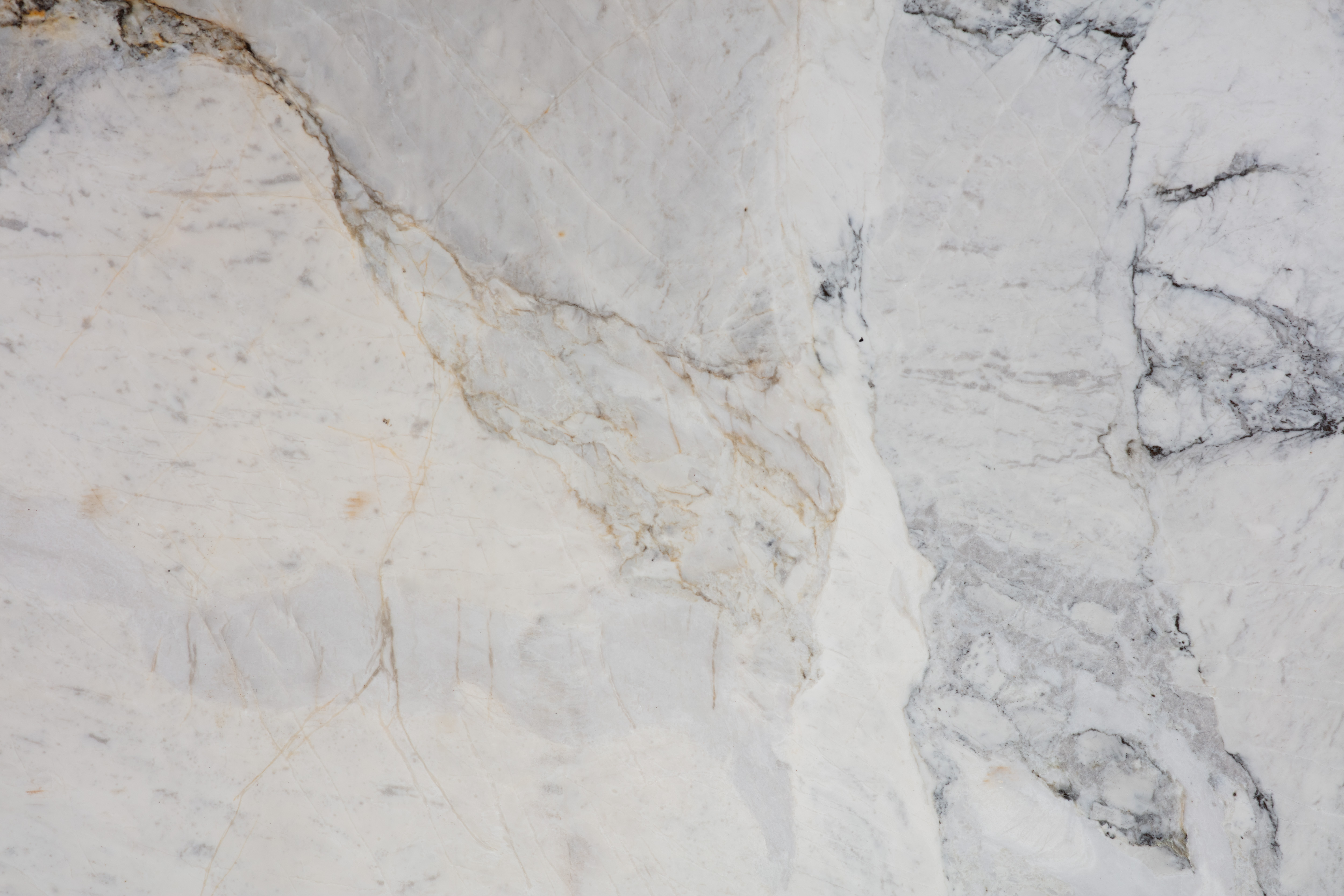 CALACATTA MICHELANGELO  - фото 6